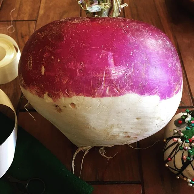 Beatrice Mouse of the Scampinoso Mouse family had lived in the Big Turnip for seven long years. [when your #csa is #fairytaleinspo🧚&zwj;♀️ ]