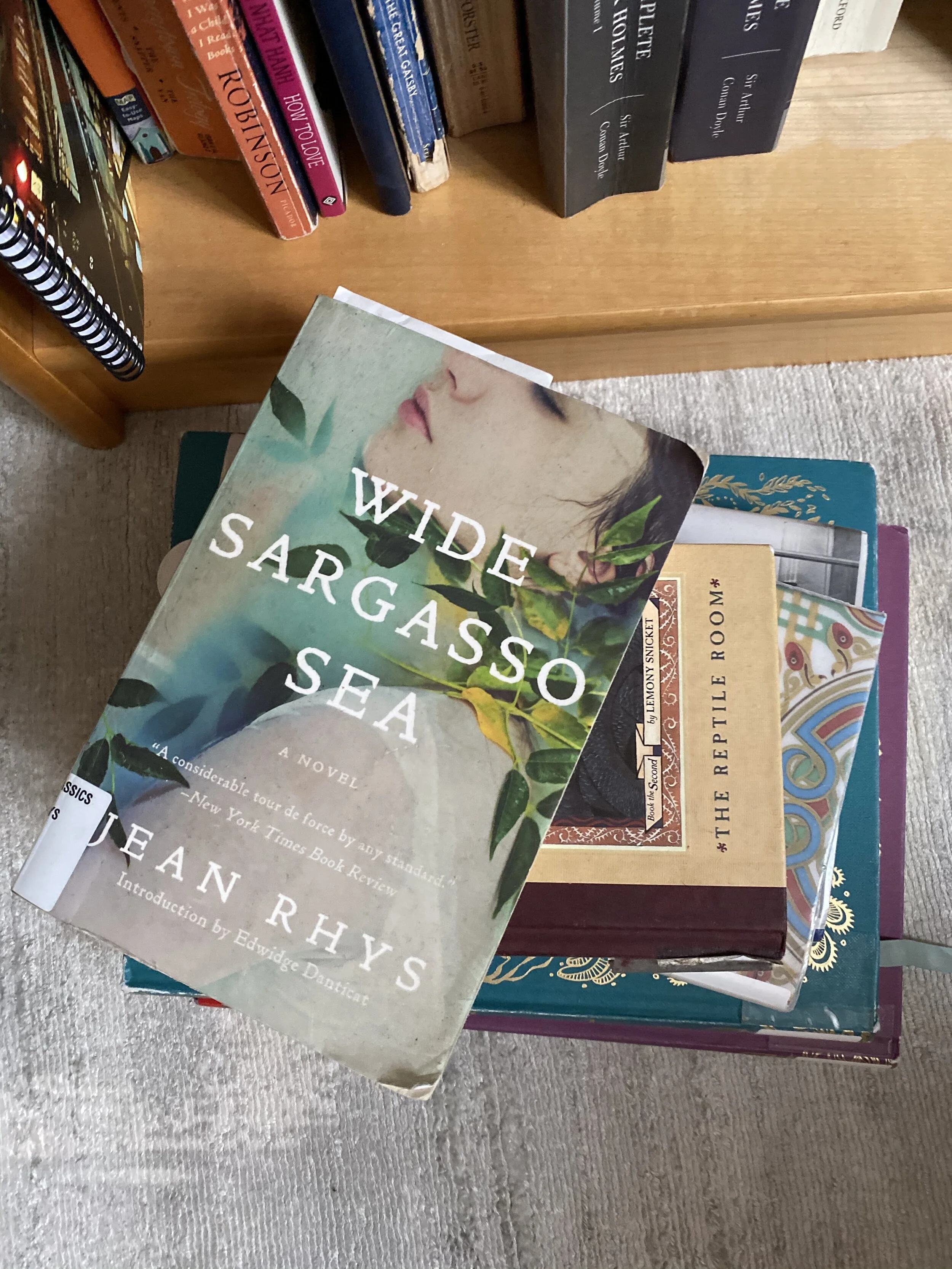 Very Unfinished Book Reviews