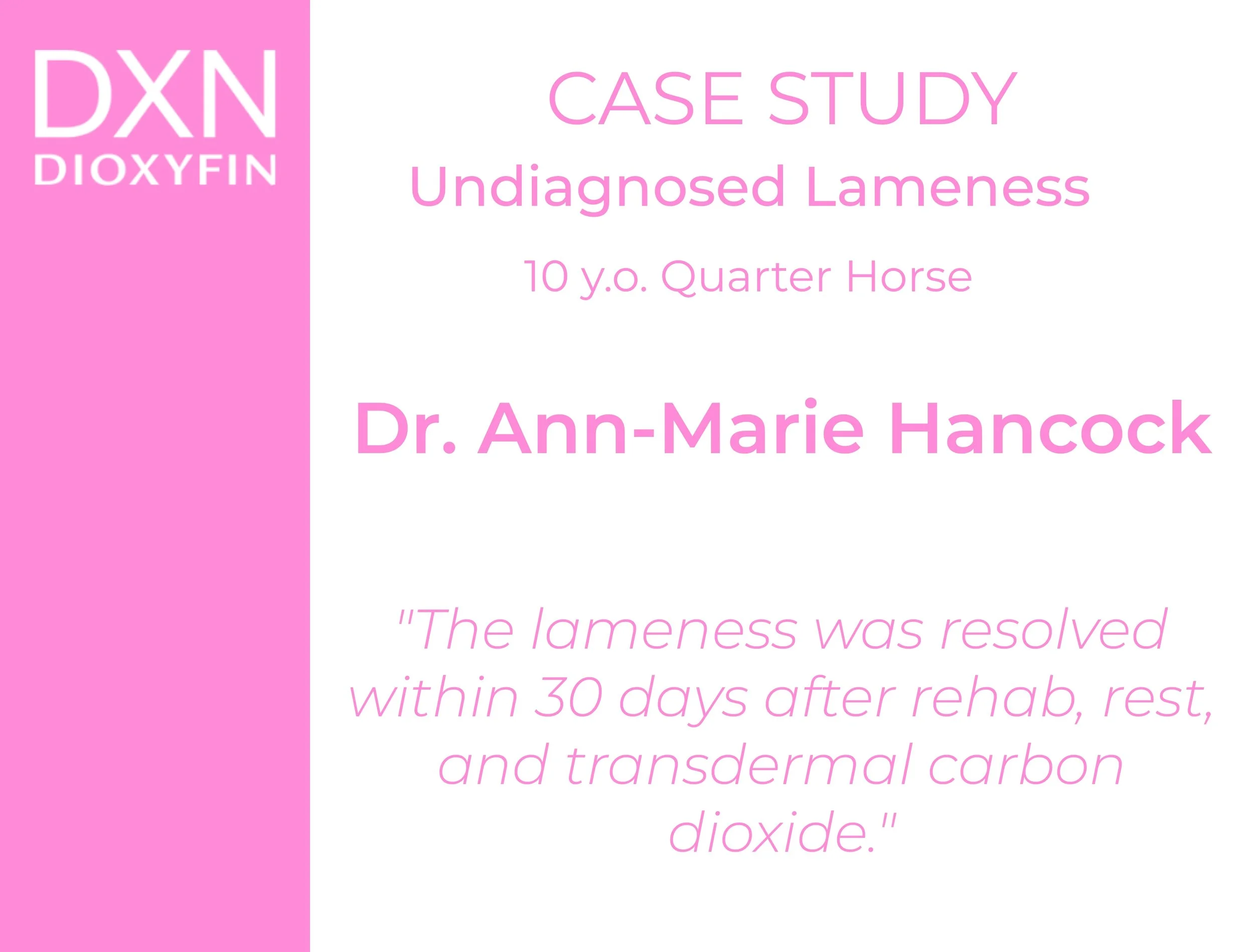 Undiagnosed Equine Lameness