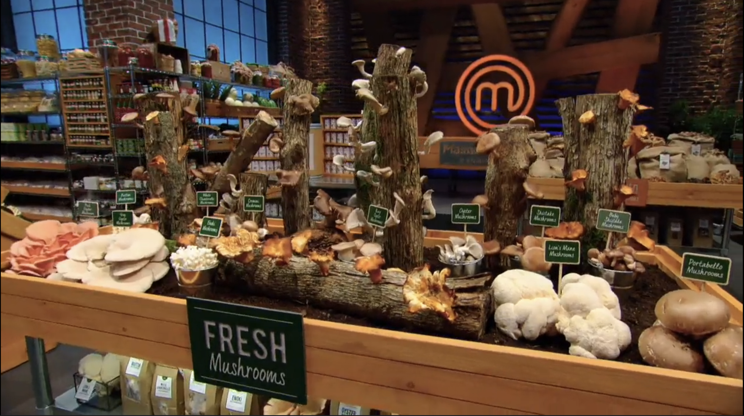 Mushroom Display