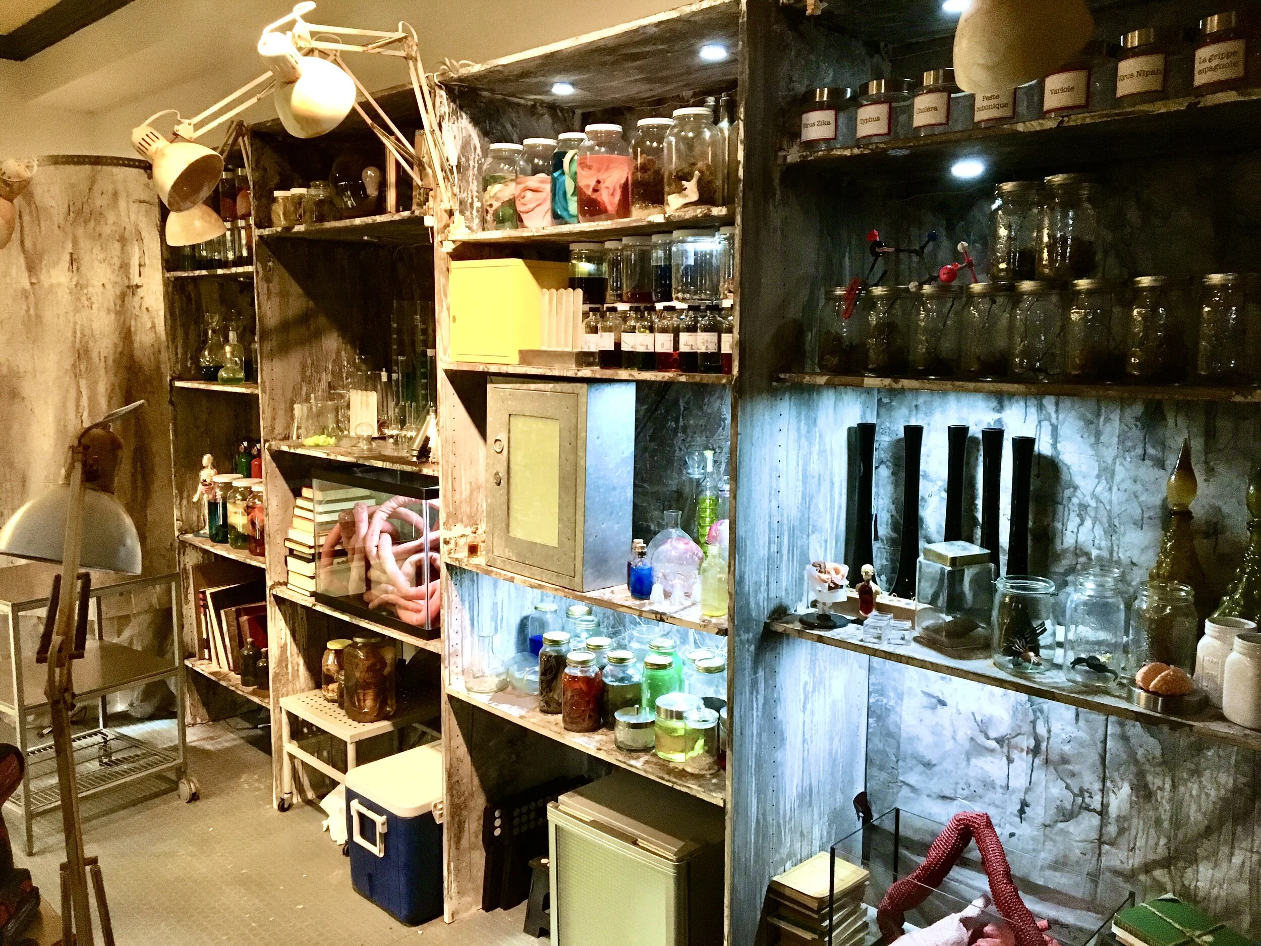  The Professor’s Lab 