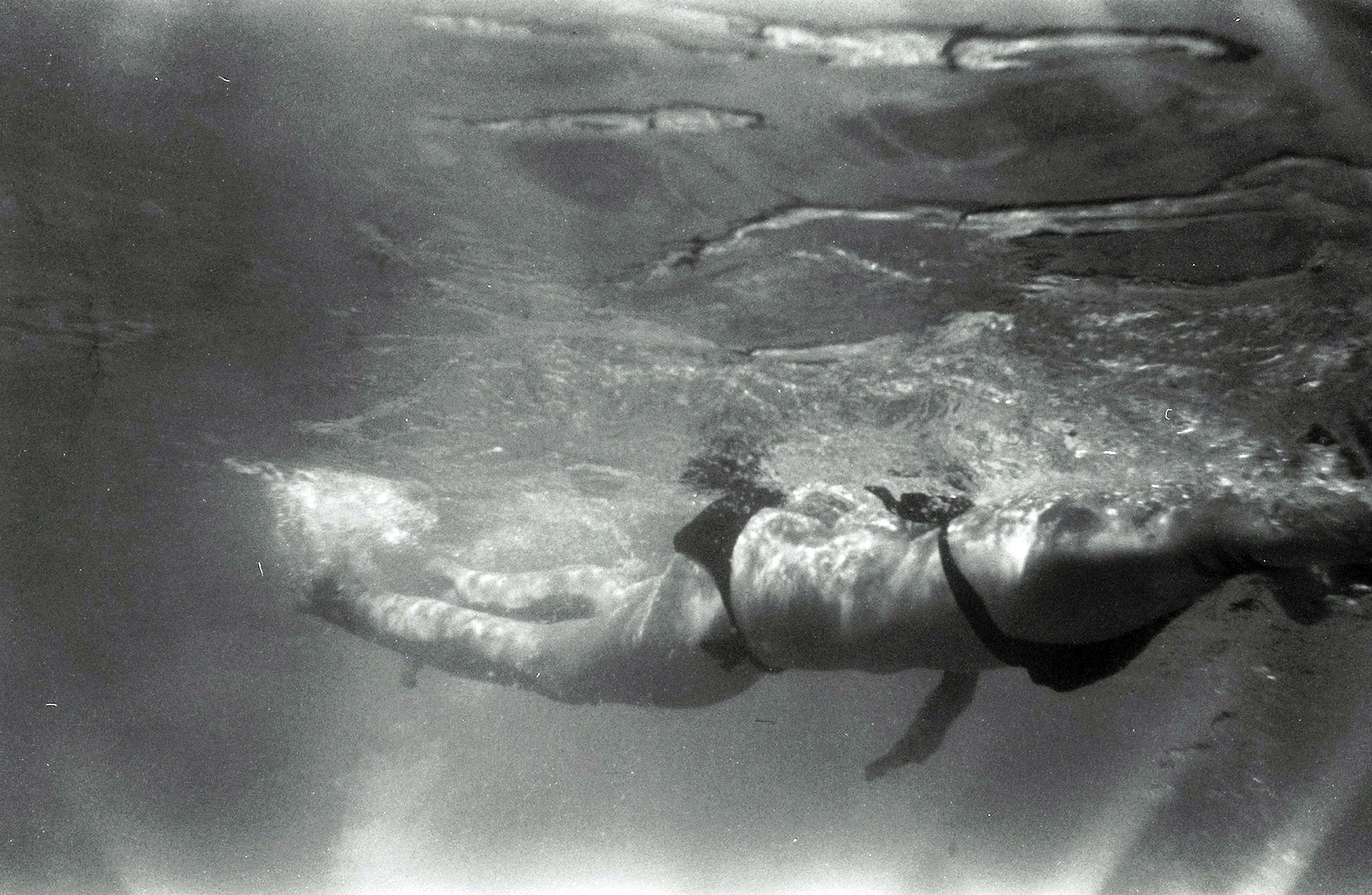 swim.jpg