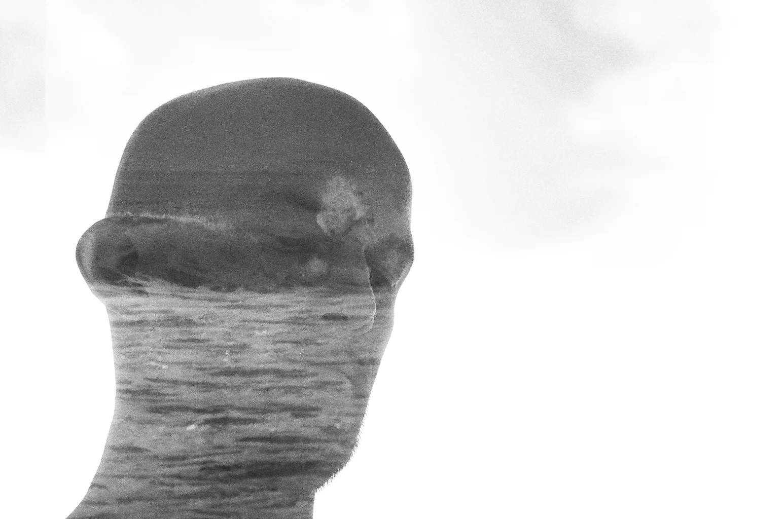 paulwave.jpg