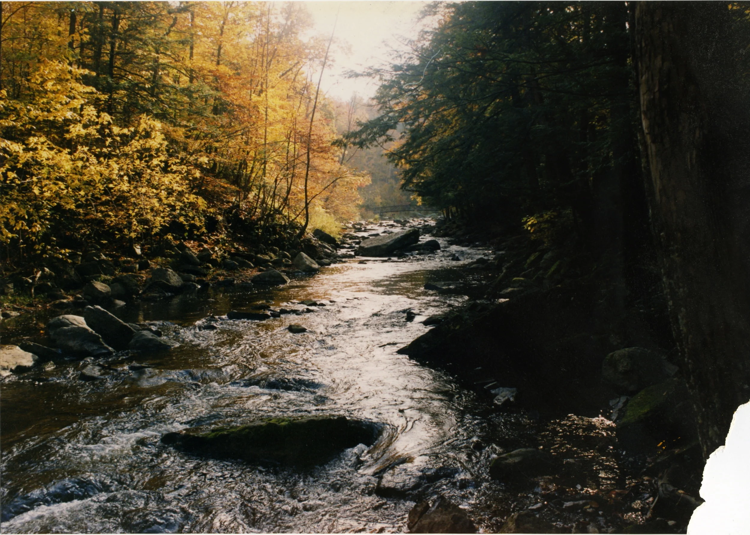 nature109.jpg