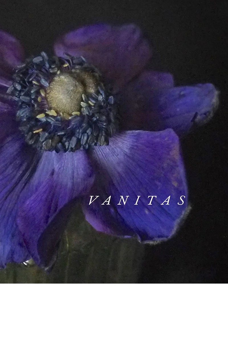 Vanitas_book cover.jpg
