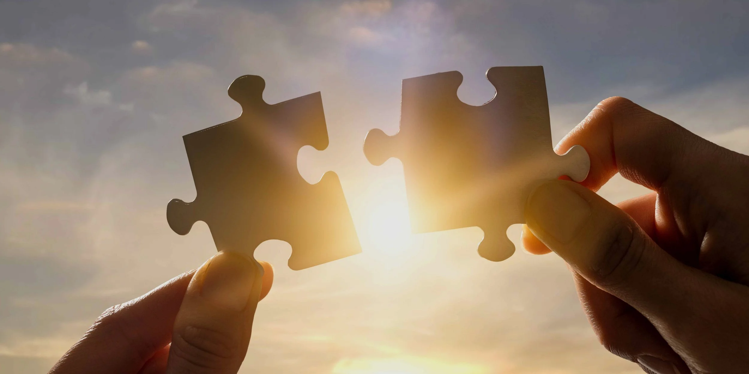 low+res+puzzle+pieces+for+website.jpg