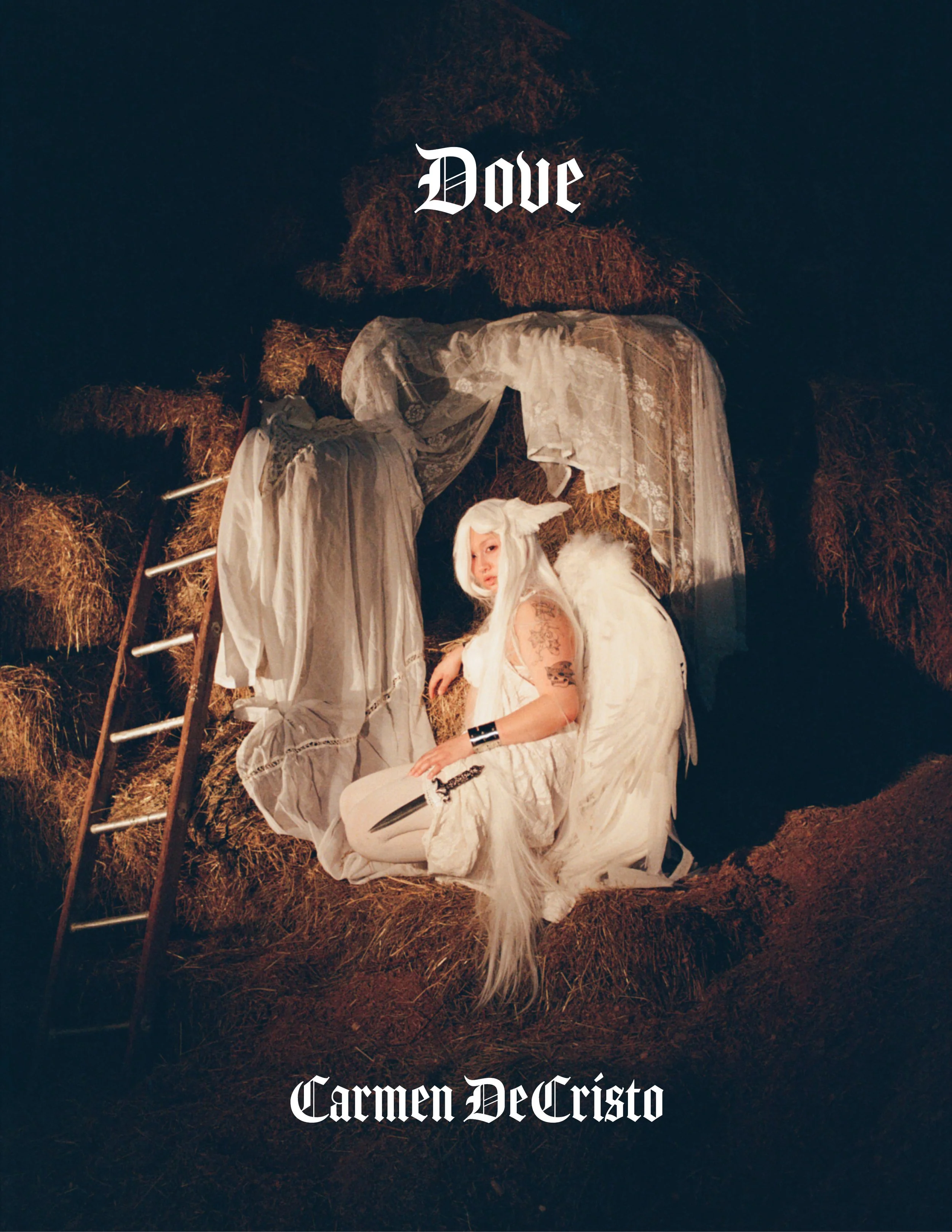 Dovecover.jpg