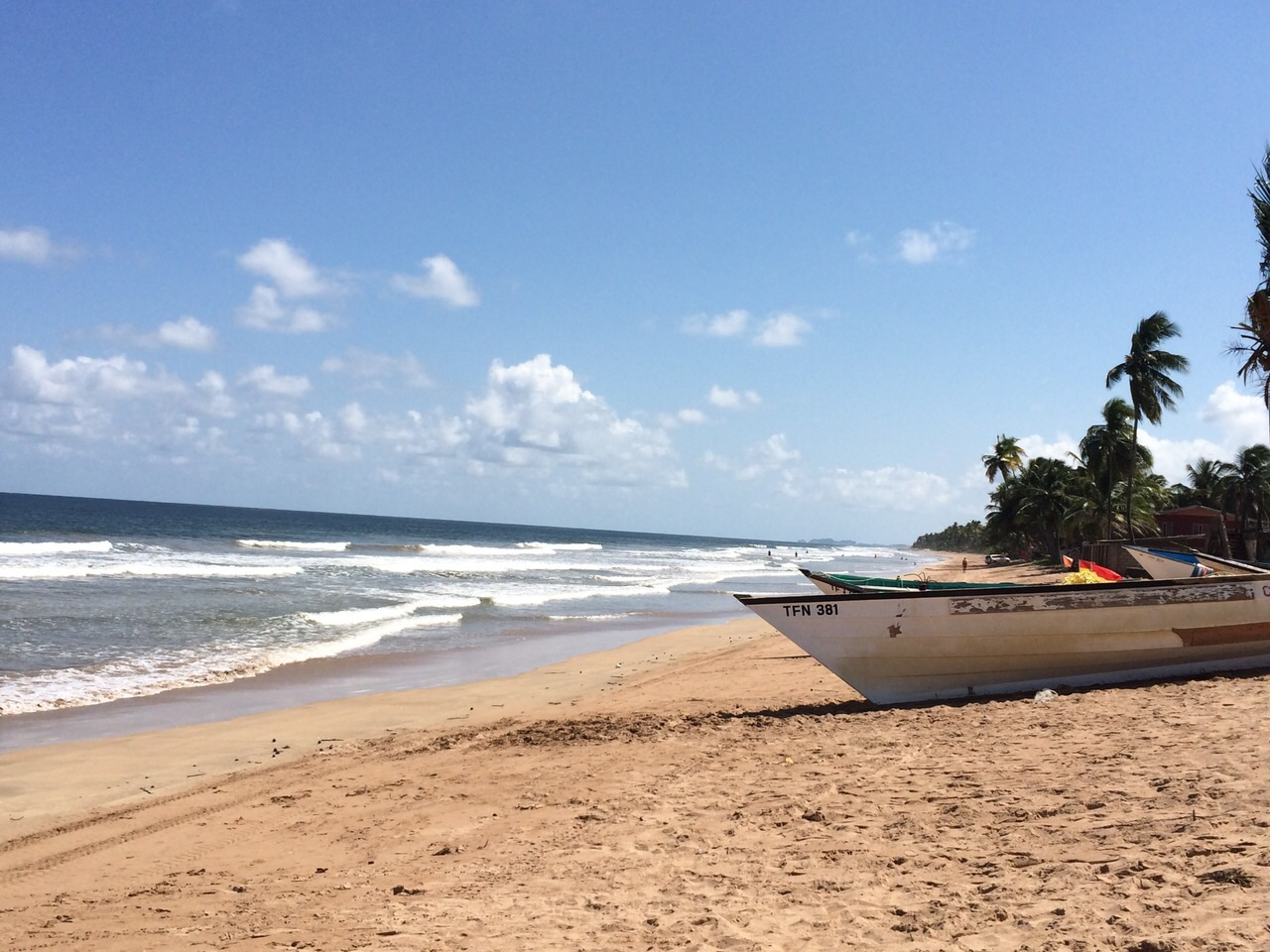 Mayaro