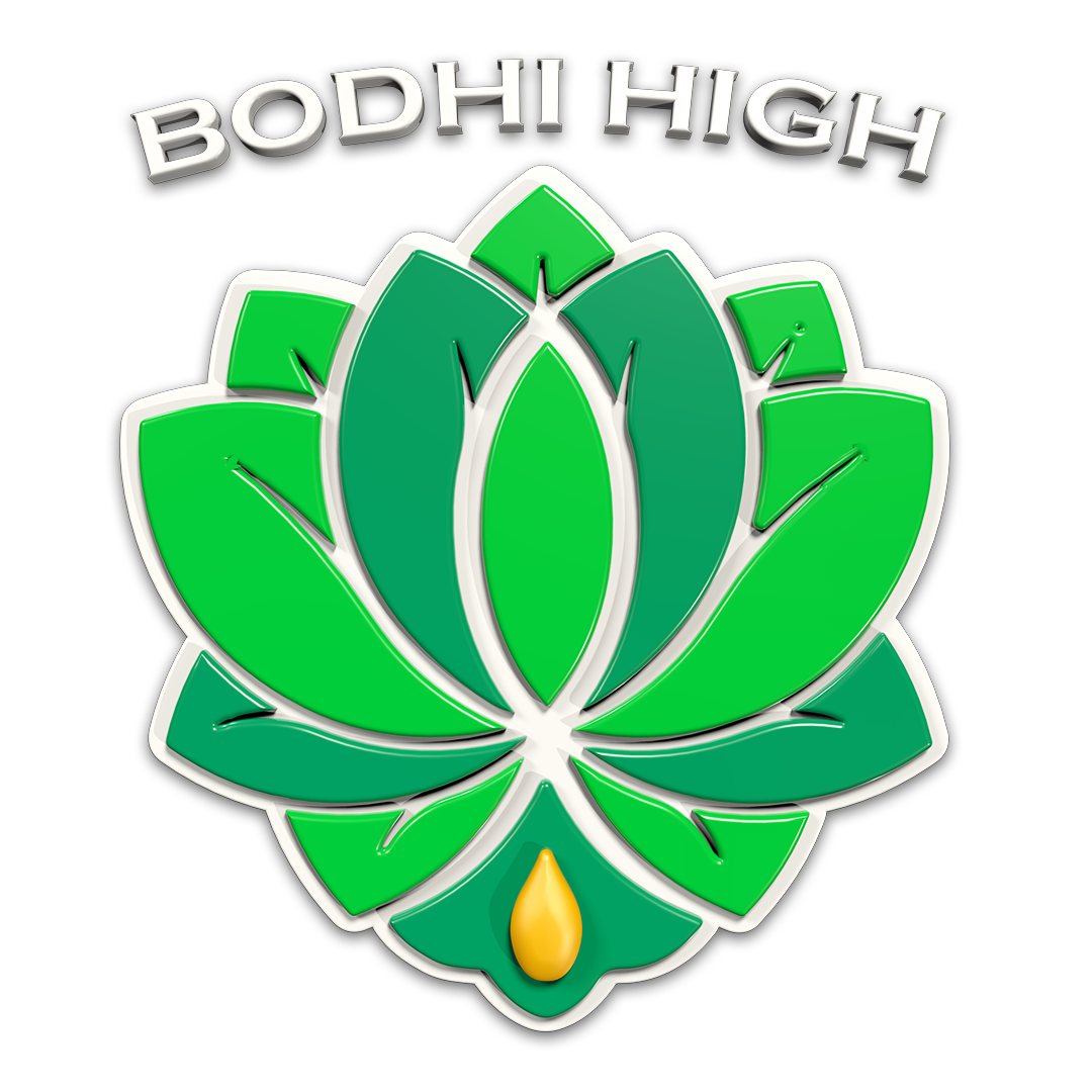Bodhi High 