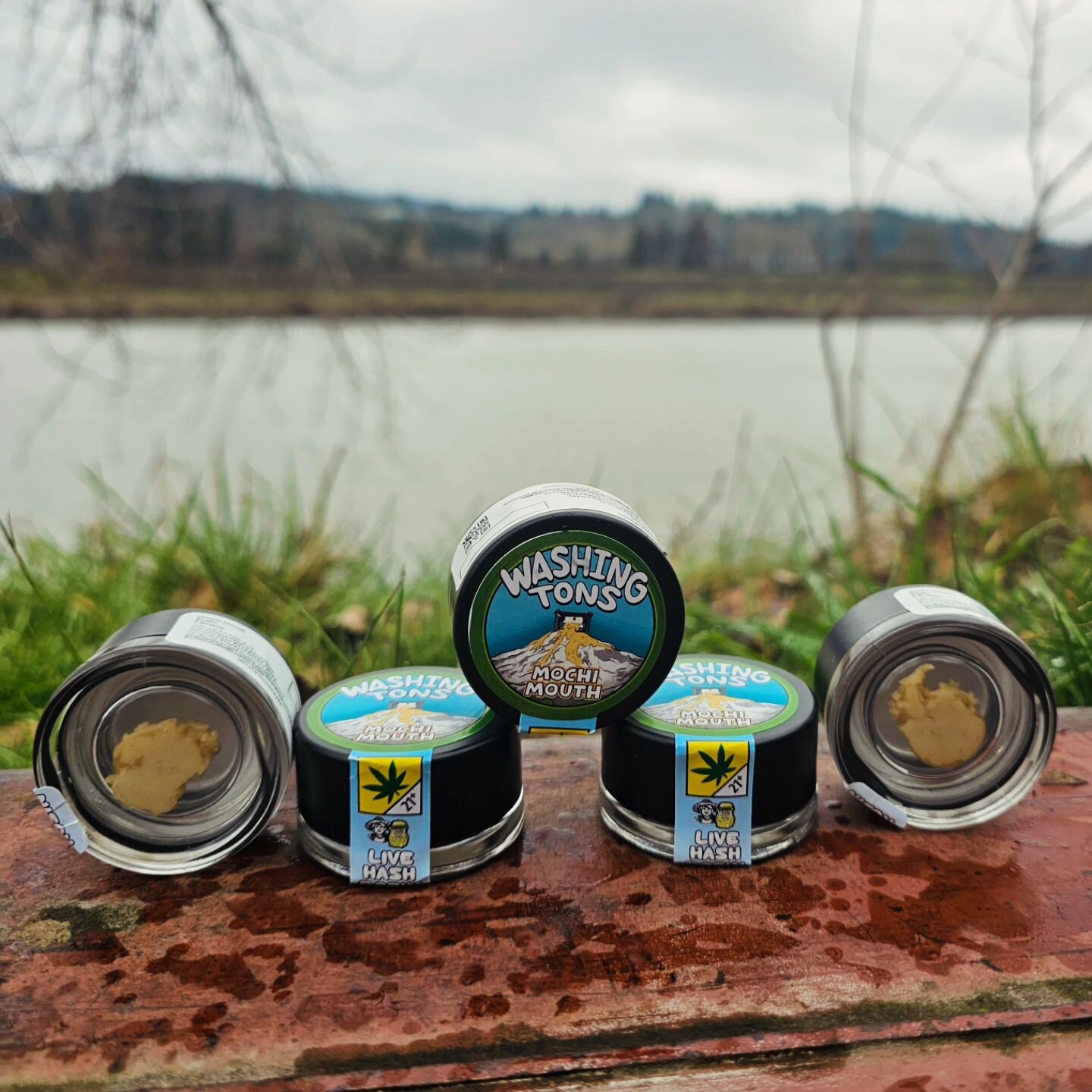 New product alert! 🗣️ @washingtons_502 @harrydabs

Avaliable at the Longview and Ilwaco locations
#Freedommarkets #Washingtons #newproductalert