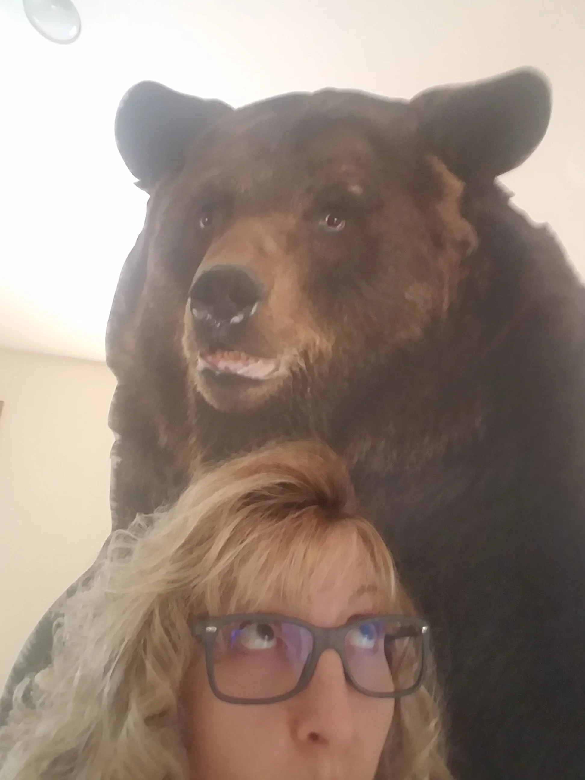 The Bear and Me.jpg