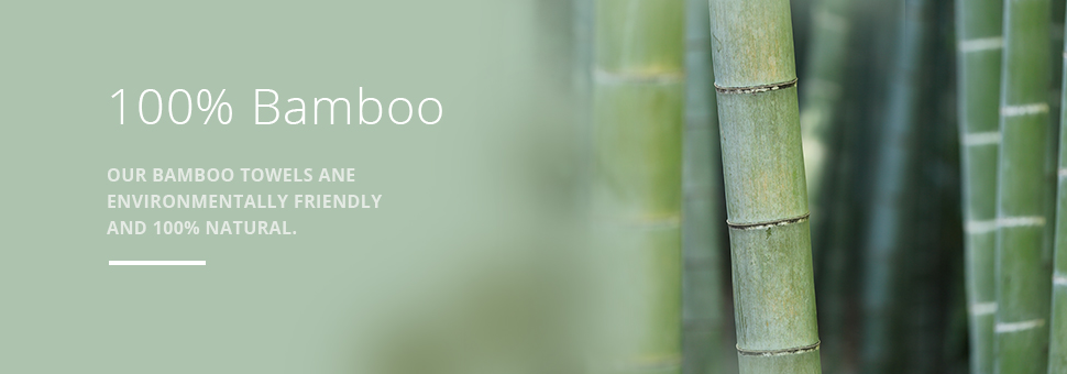 bamboo-main-banner.jpg