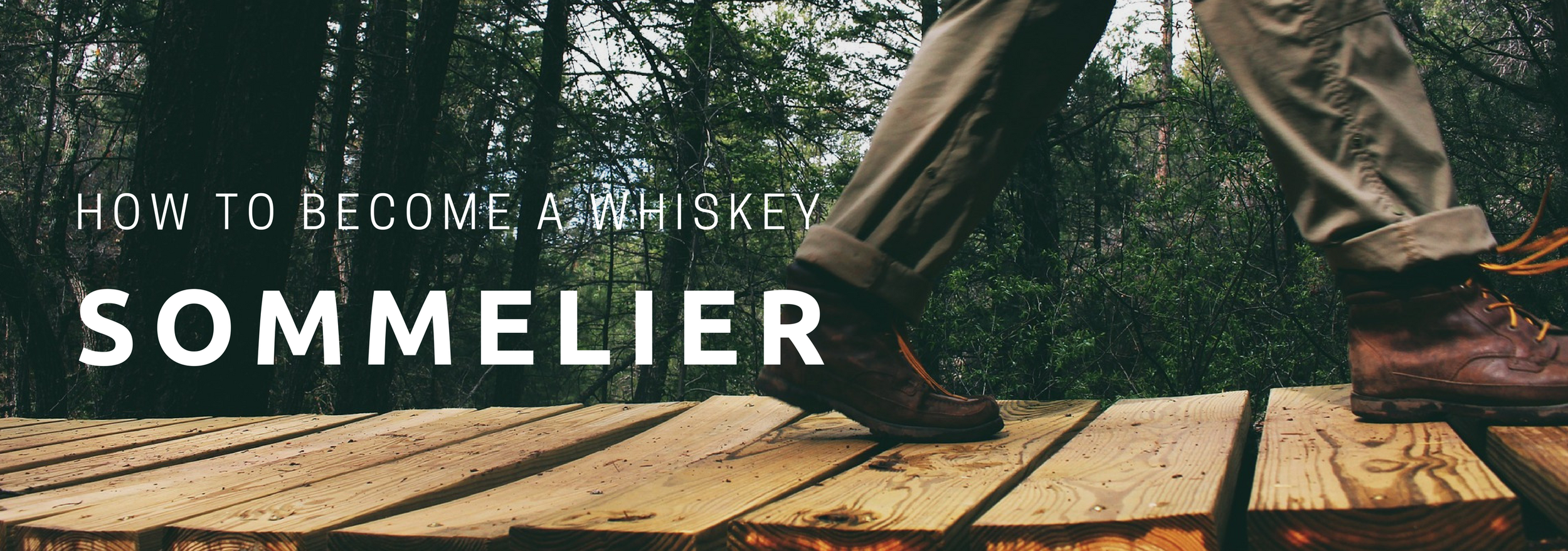 how-to-become-a-whiskey-sommelier.png