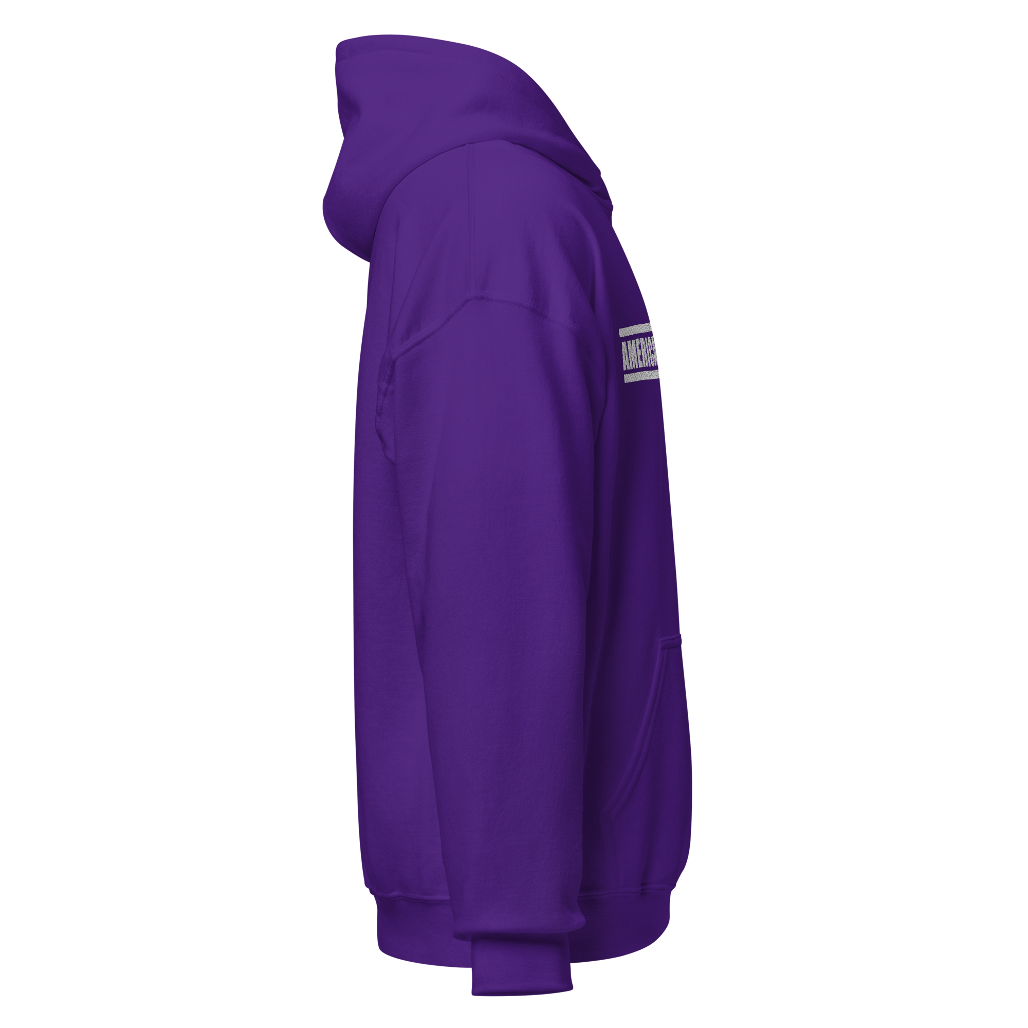 unisex-heavy-blend-hoodie-purple-right-68c99d41303d2.png