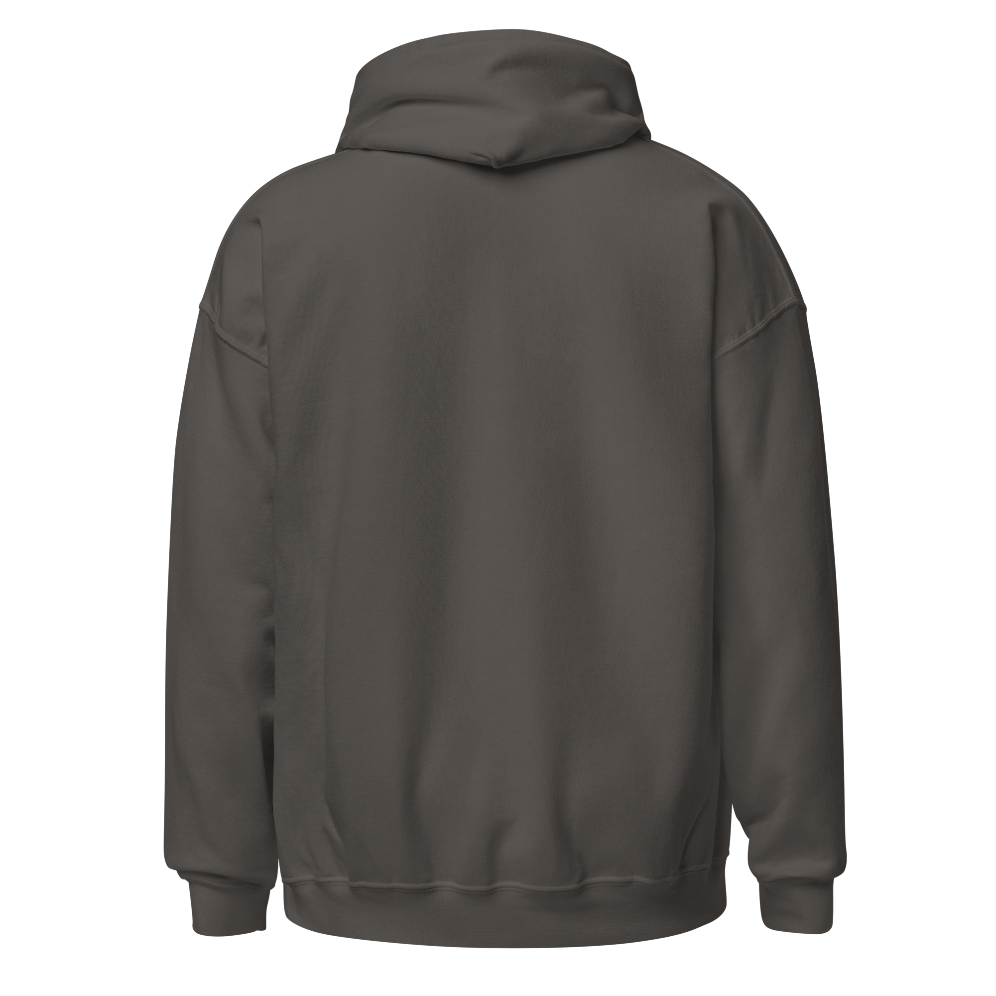 unisex-heavy-blend-hoodie-charcoal-back-68c99d4150991.png