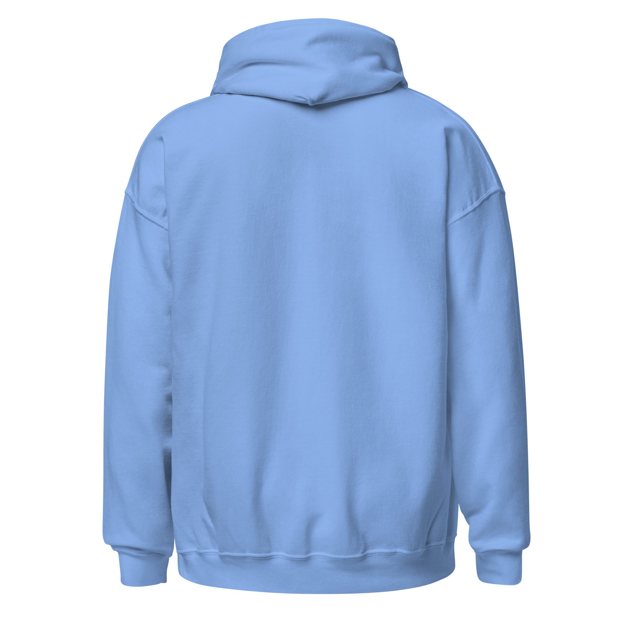 unisex-heavy-blend-hoodie-carolina-blue-back-68c99d419edb5.png
