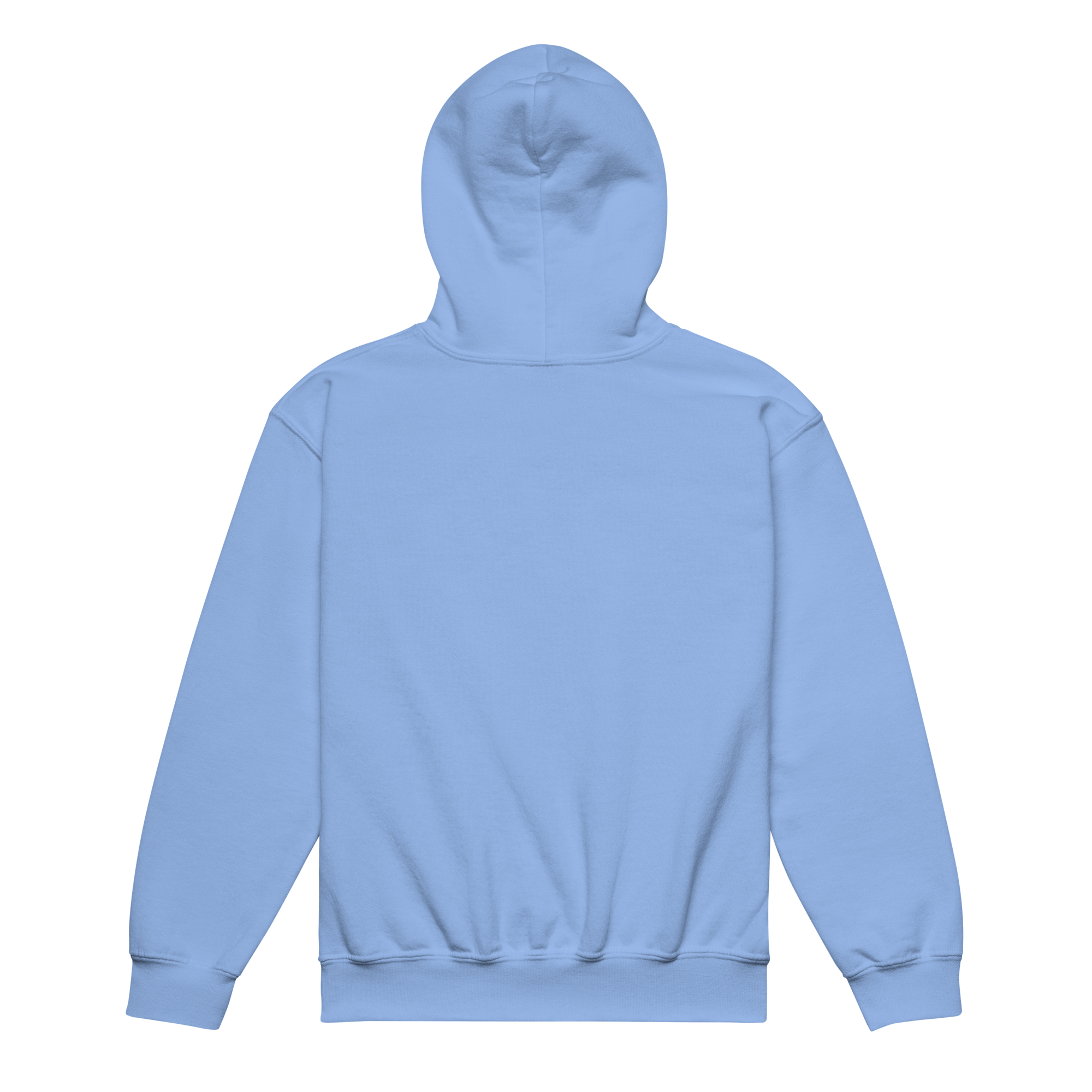 youth-heavy-blend-hoodie-carolina-blue-back-68c99de66776e.png
