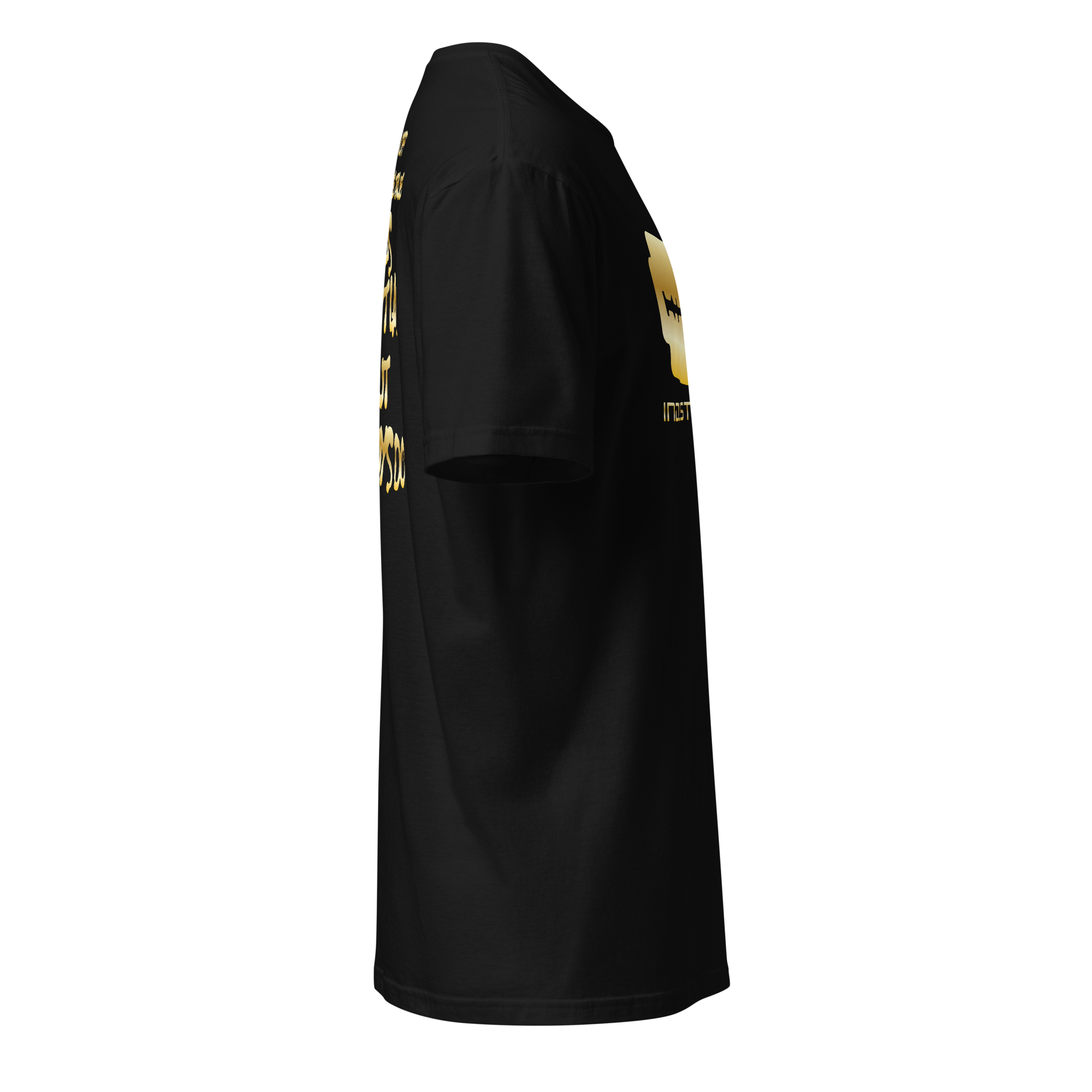 unisex-basic-softstyle-t-shirt-black-right-69459ed965be2.png