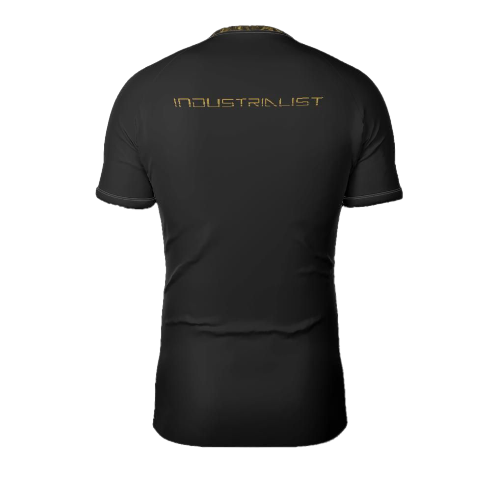 EvoGold_SSback.png
