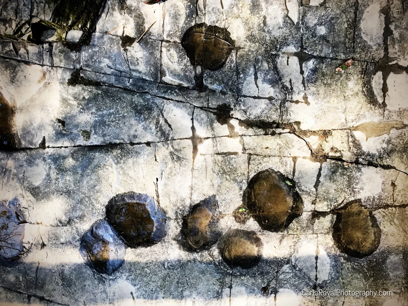 decay-7.jpg