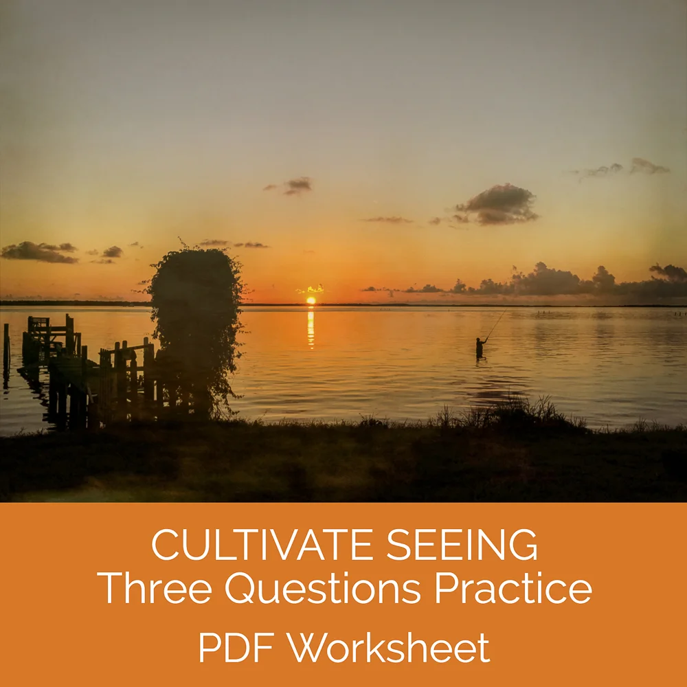 Cultivate Seeing.jpg
