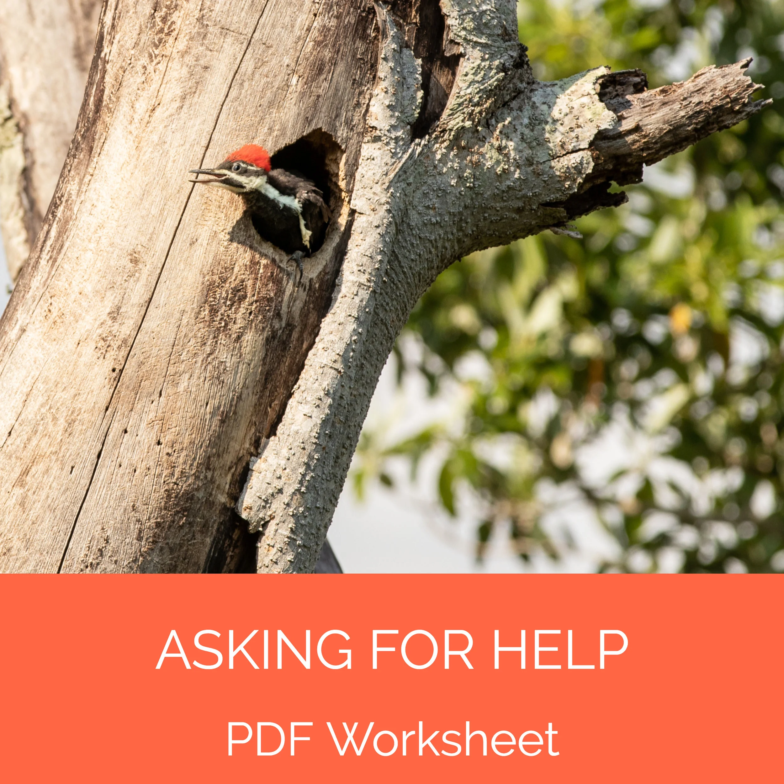 asking for help.jpg