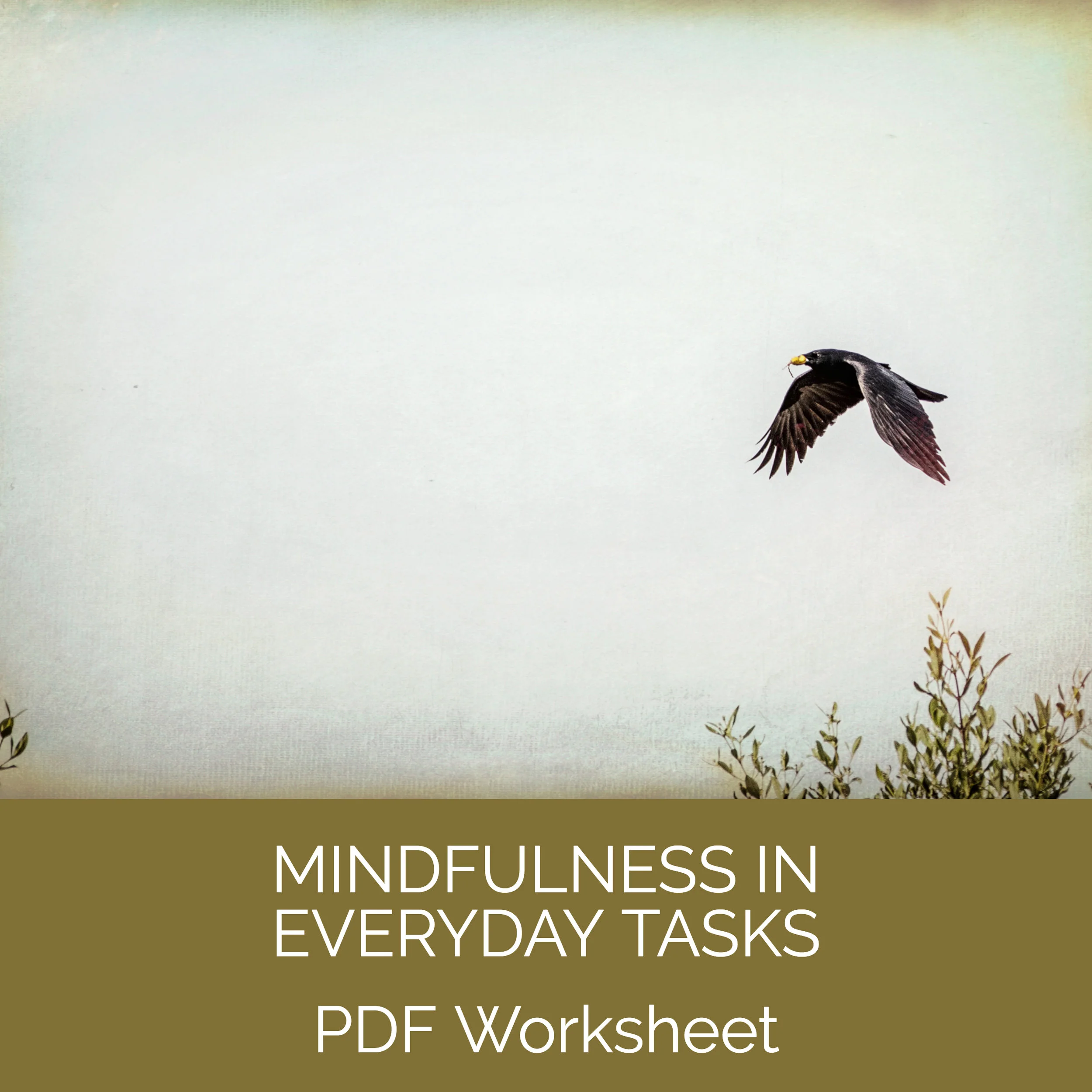 Mindfulness in Everyday Tasks.jpg