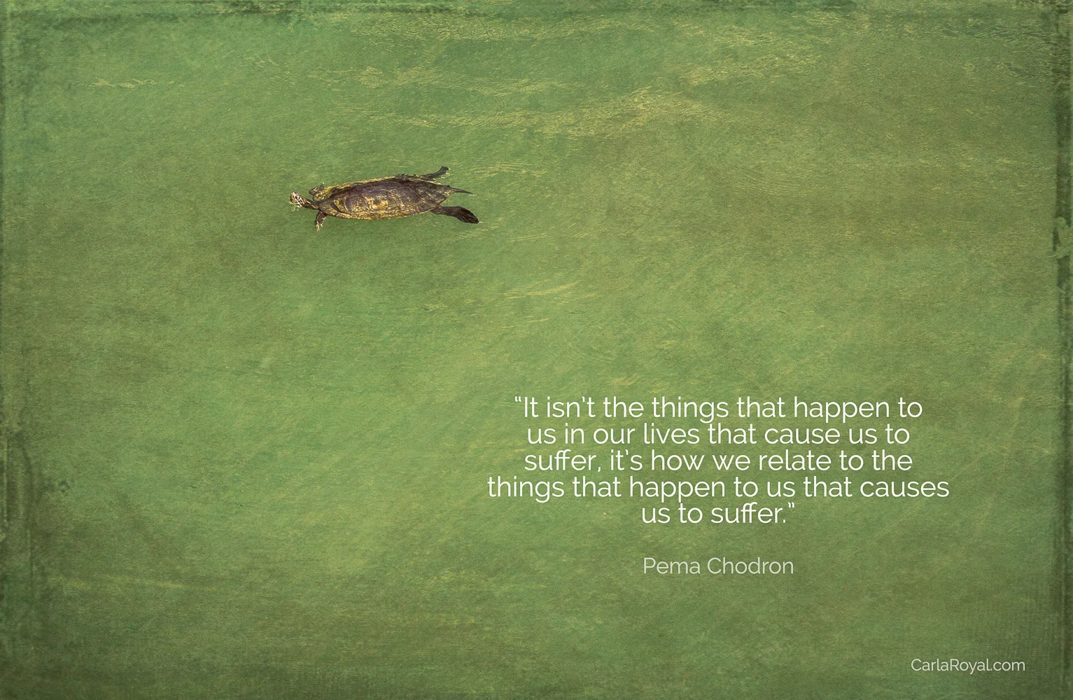 stories-we-tell-ourselves-13.jpg