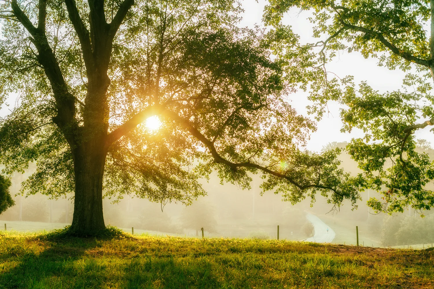 screensaver-187.jpg