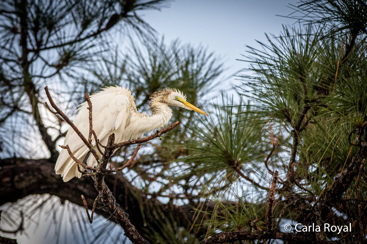 Florida Pics-78.jpg