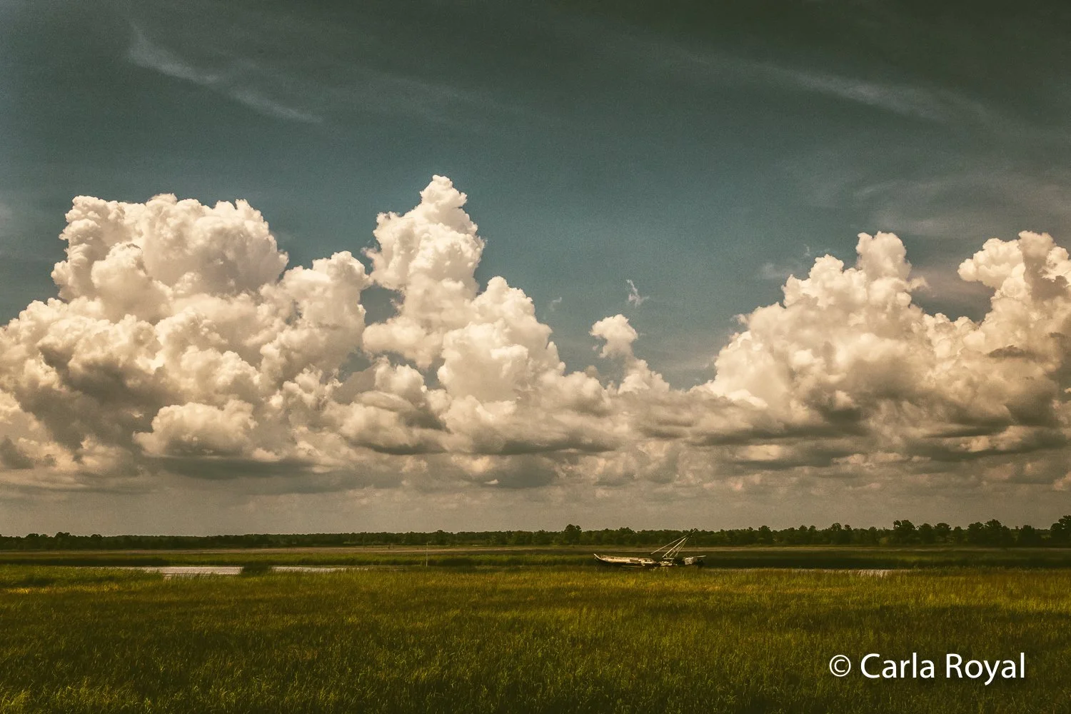Florida Pics-80.jpg