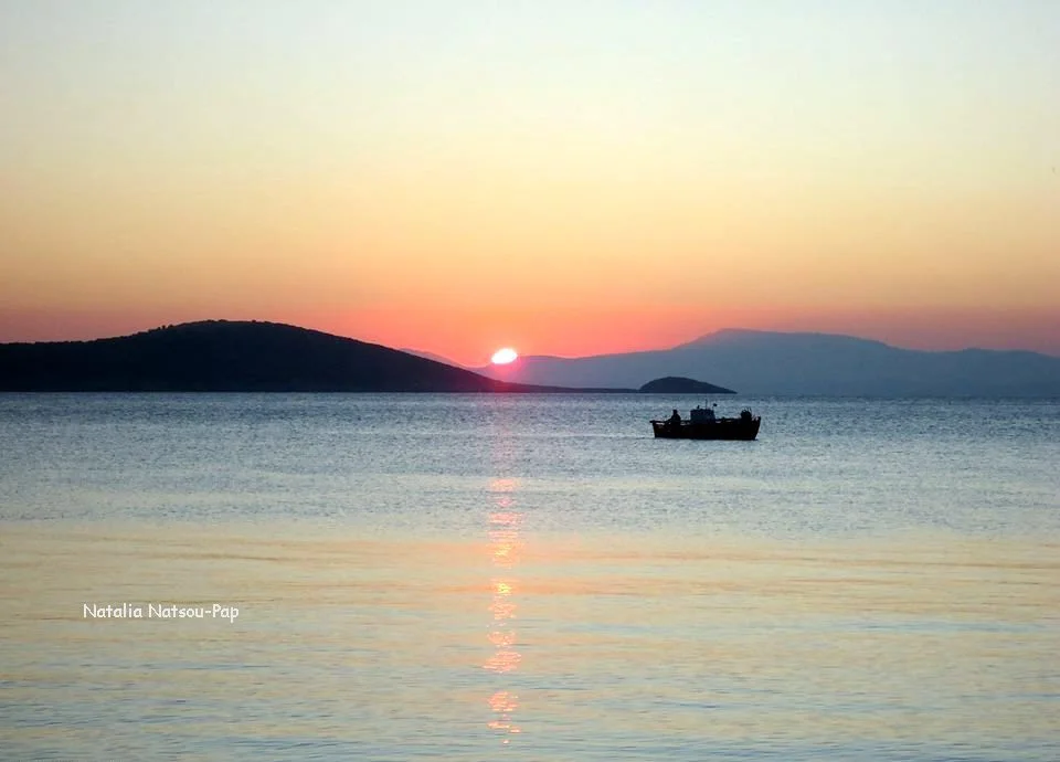 12341570_1026194317443448_83044568781645537_n!!!!!ok Firma!!!!!!!!!!!!!.jpg