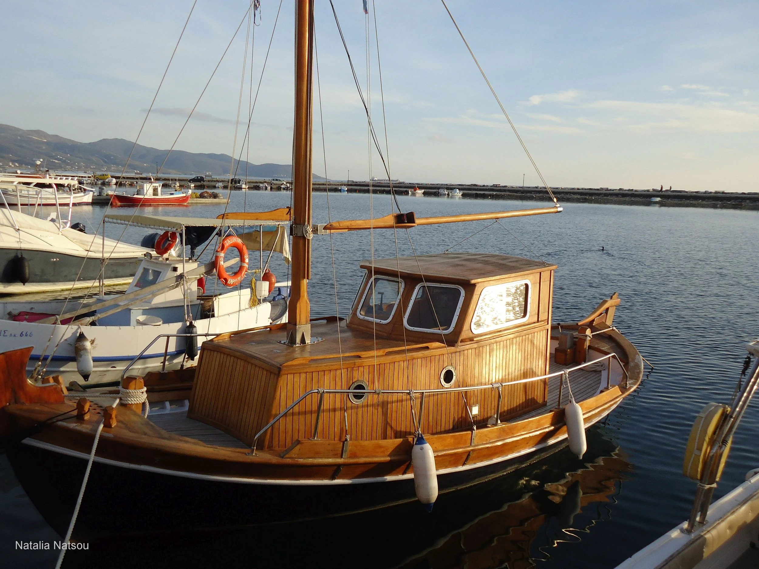 DSC08473.jpg