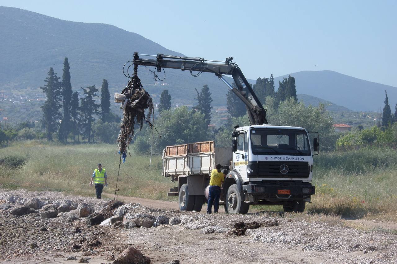 Επιχείρηση καθαρισμού των ακτών..