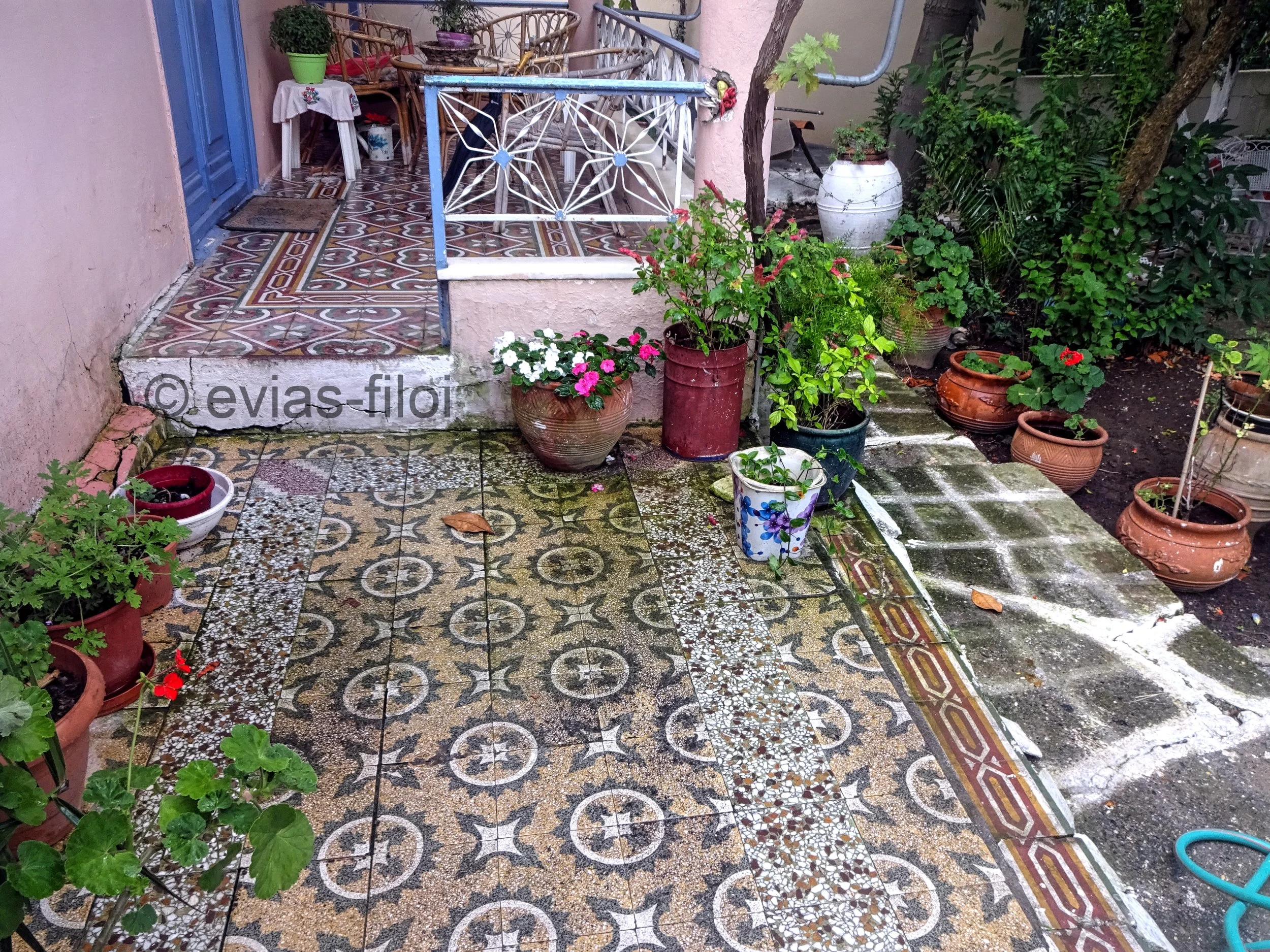DSC00089.jpg