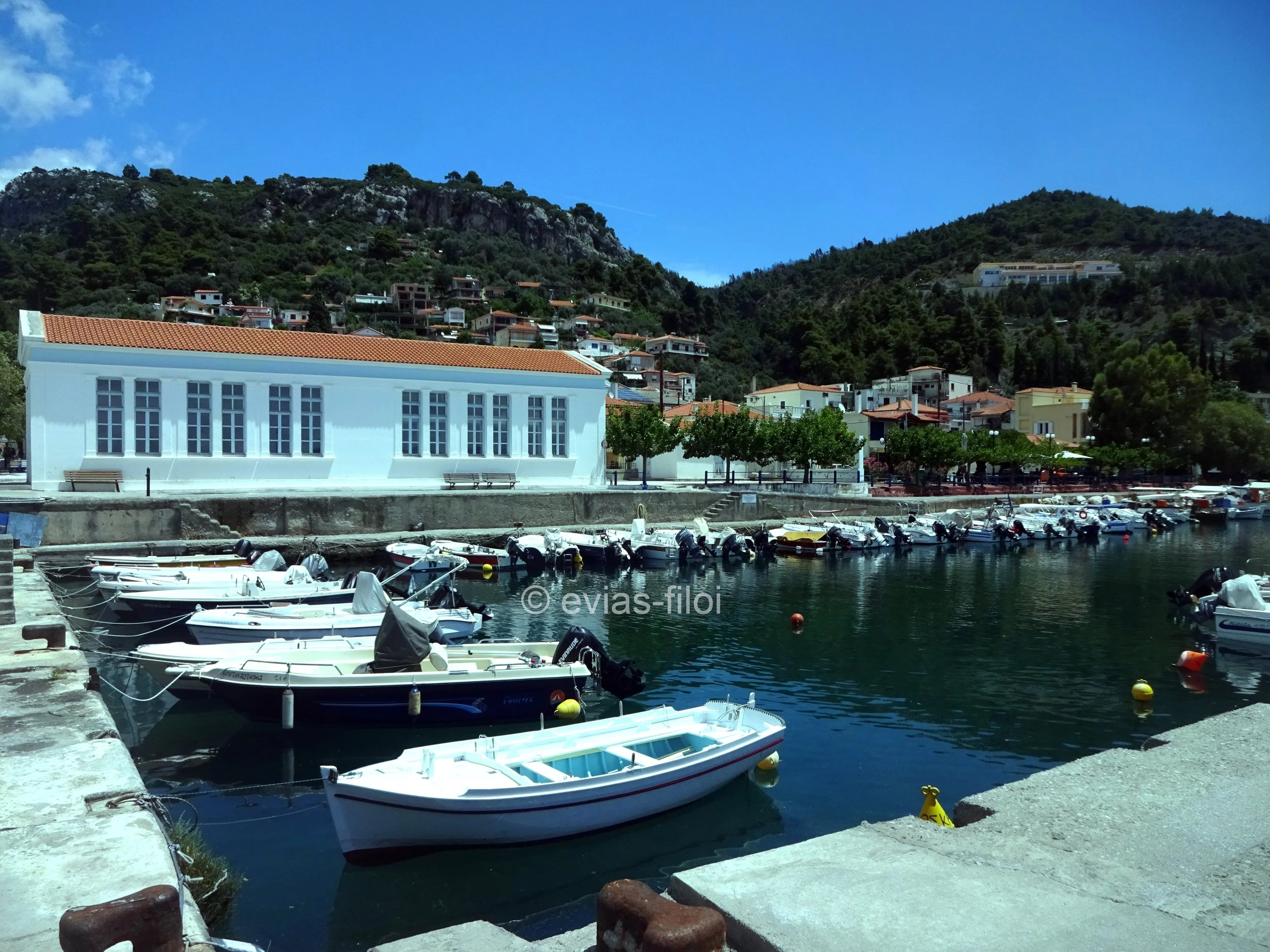 DSC00191 ε.φ. στη μεση.jpg