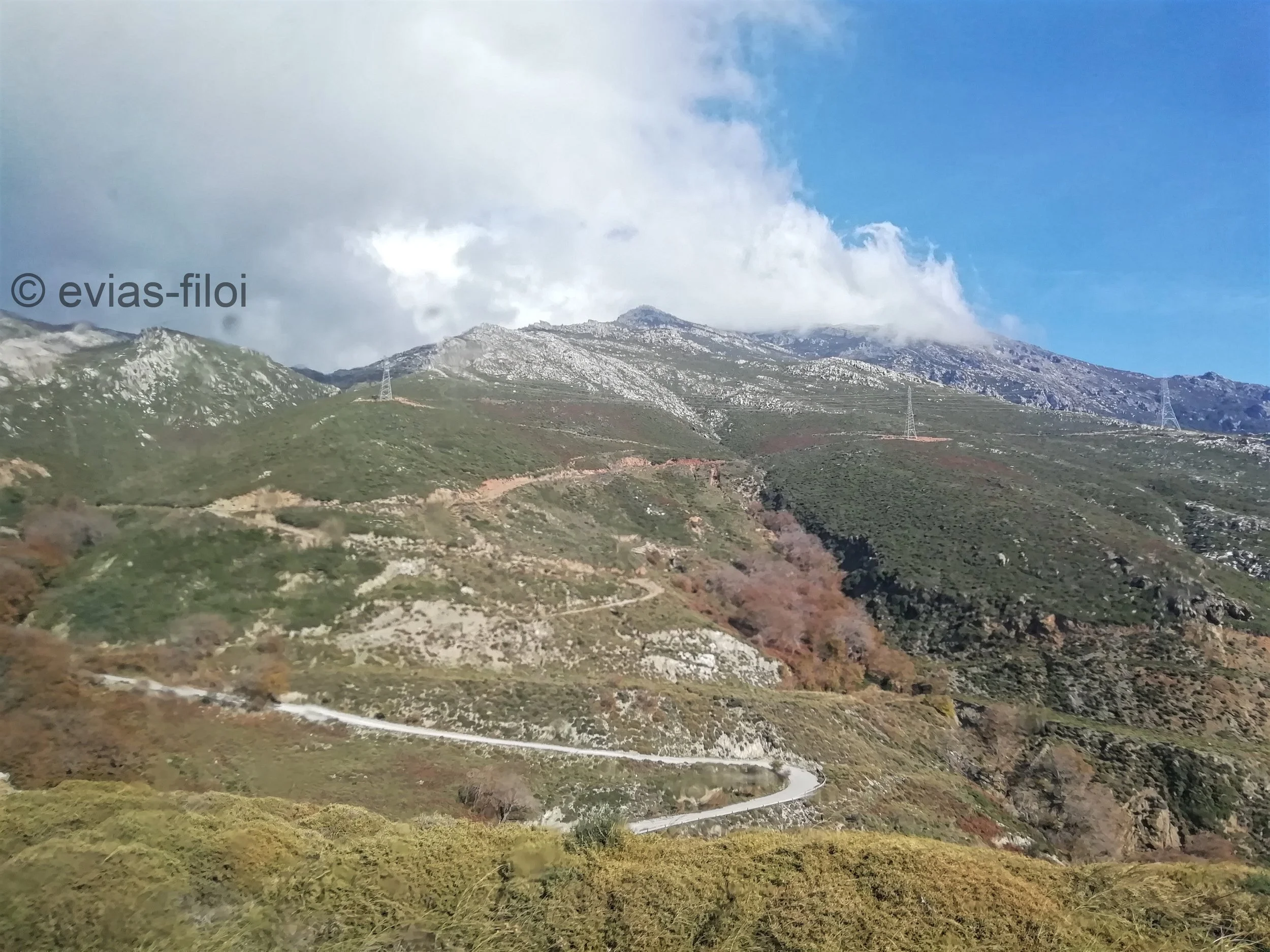 25. Μοντοφώλι