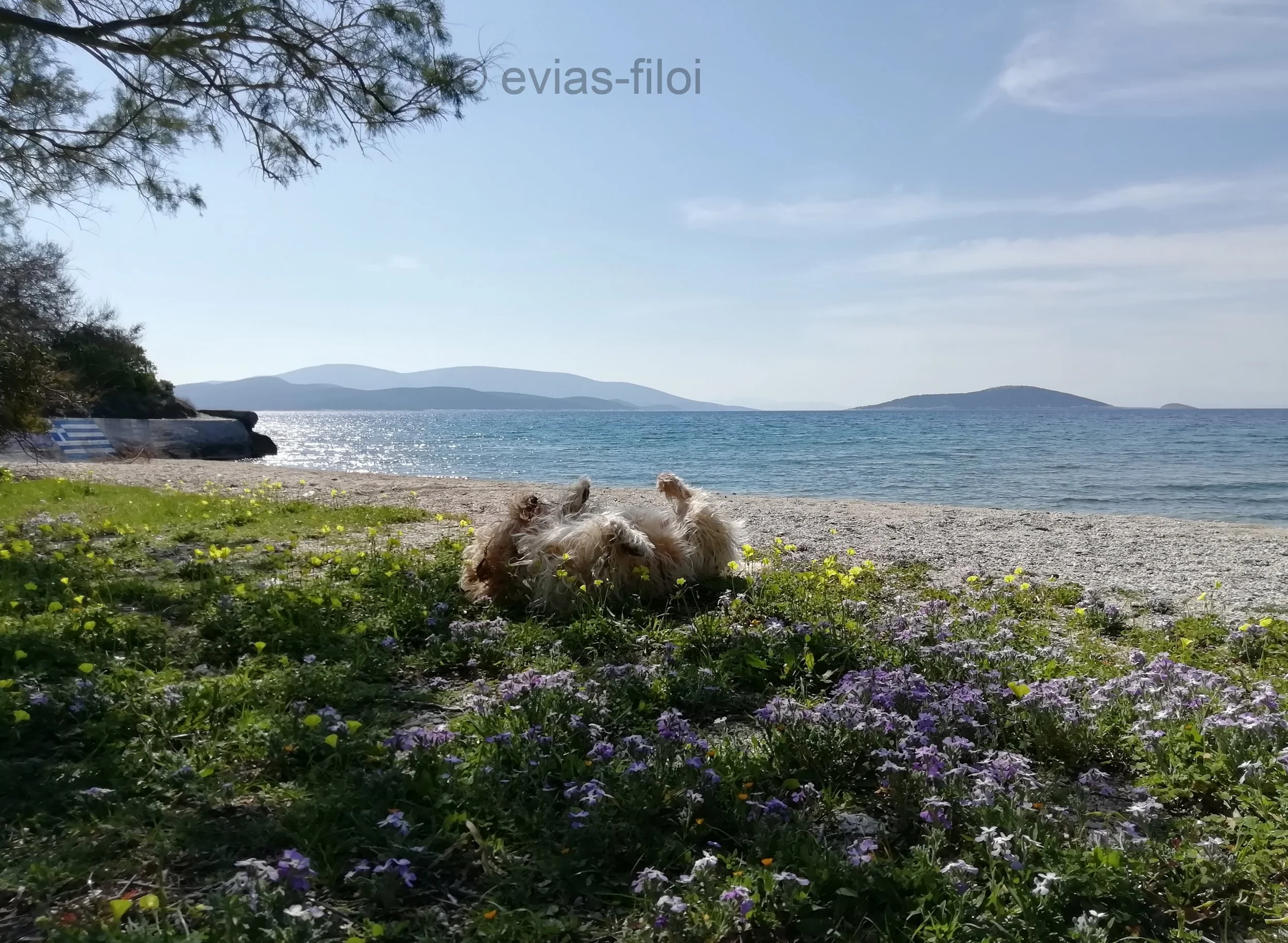 Κοκκίνη-Μαρμαρίου