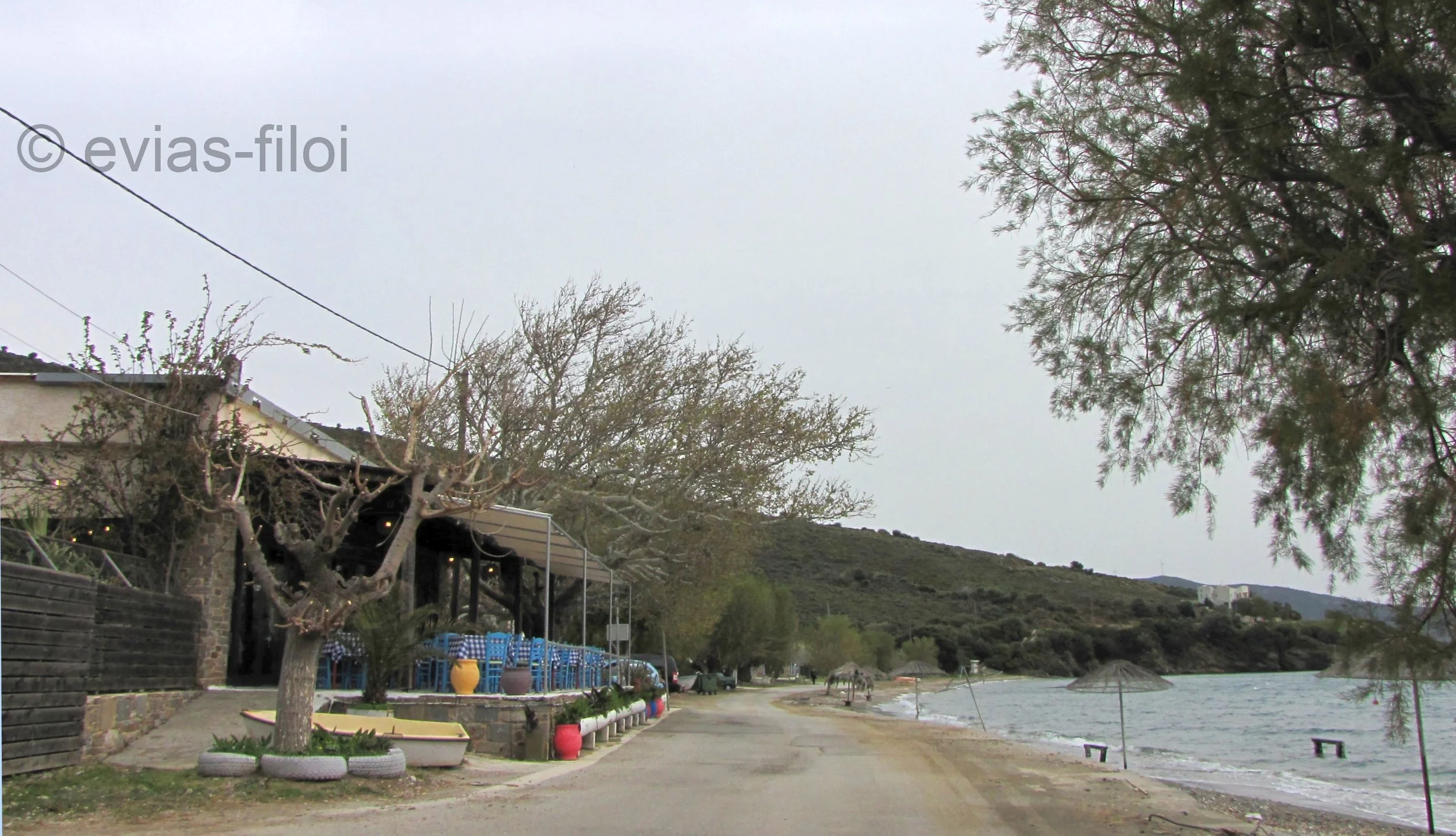 !!!!!!!!!!!!!!!!!!!   κομ.jpg