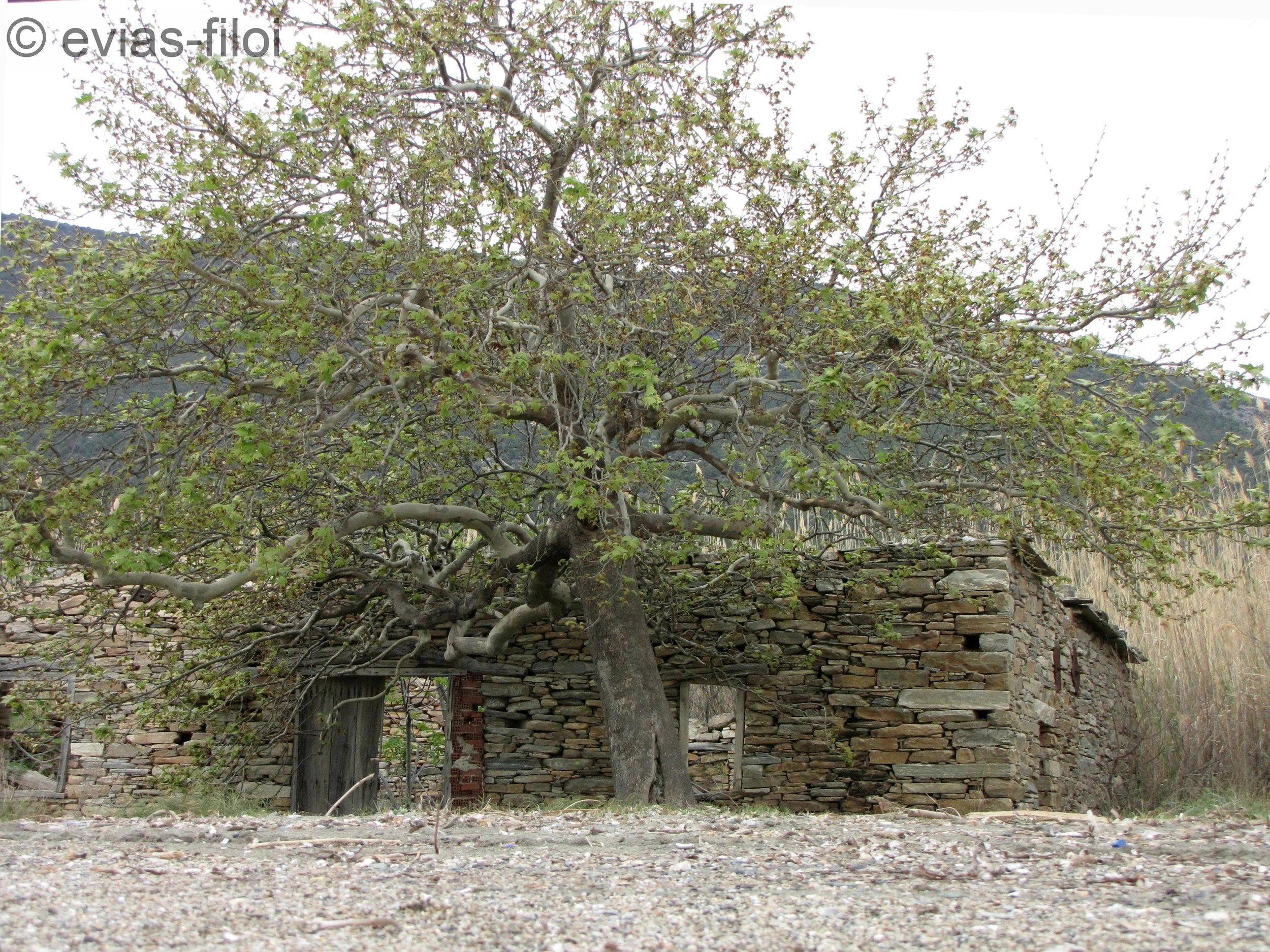 !!!!!!!!!!!!! IMG_9662.jpg