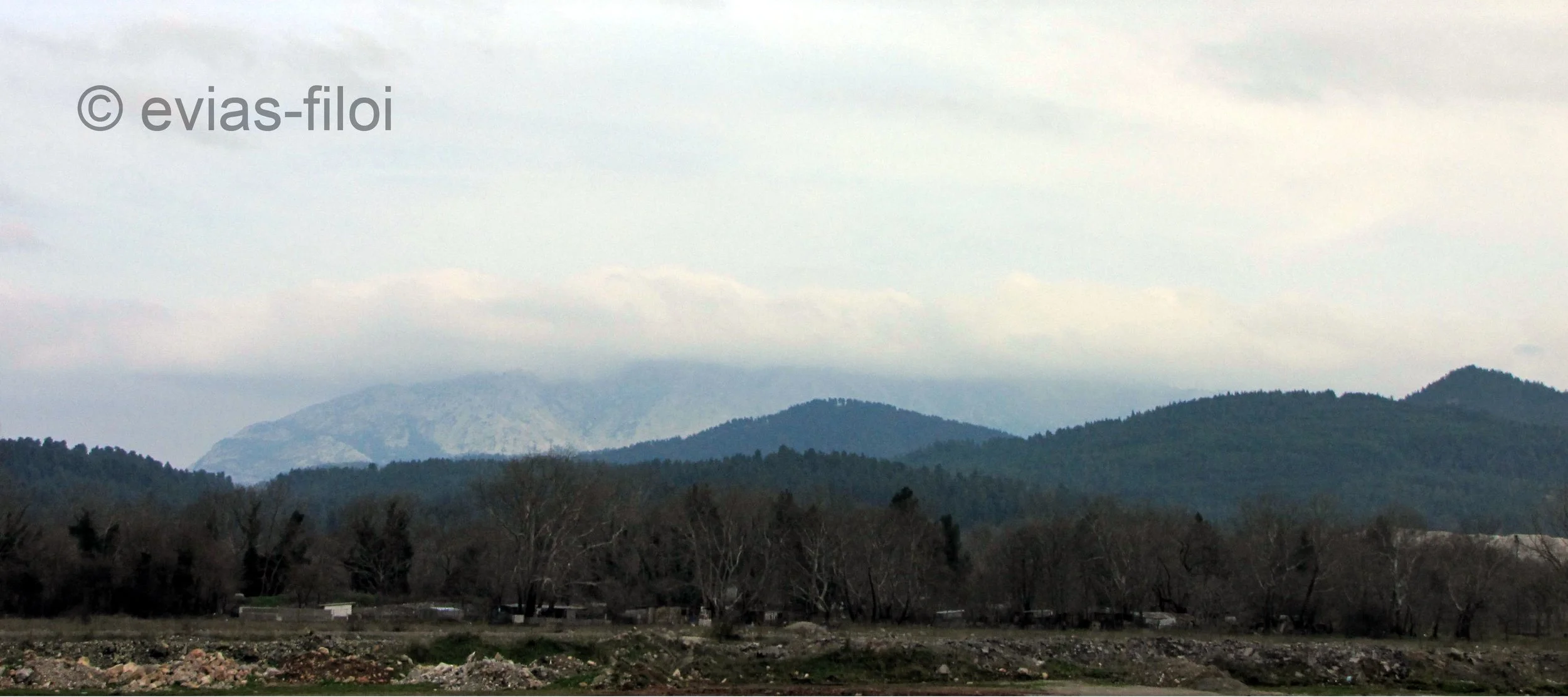 IMG_8513.jpg