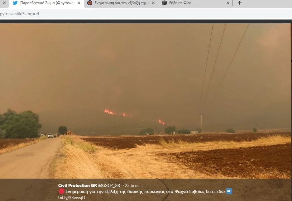 Ενημέρωση για την εξέλιξη της δασικής πυρκαγιάς στα Ψαχνά