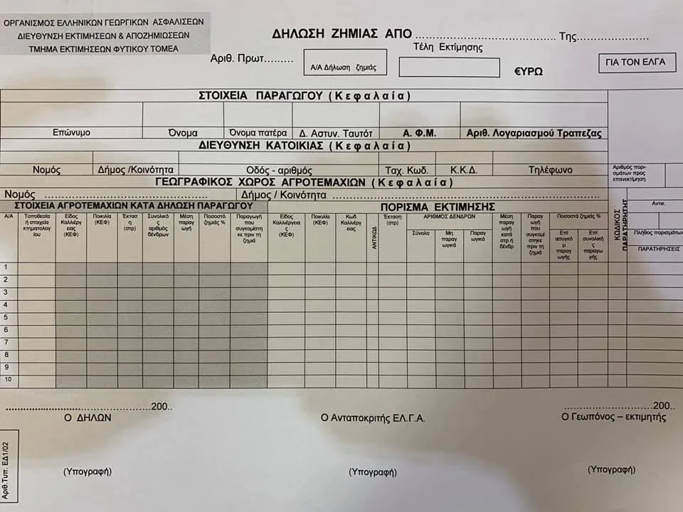 Φωτο 2