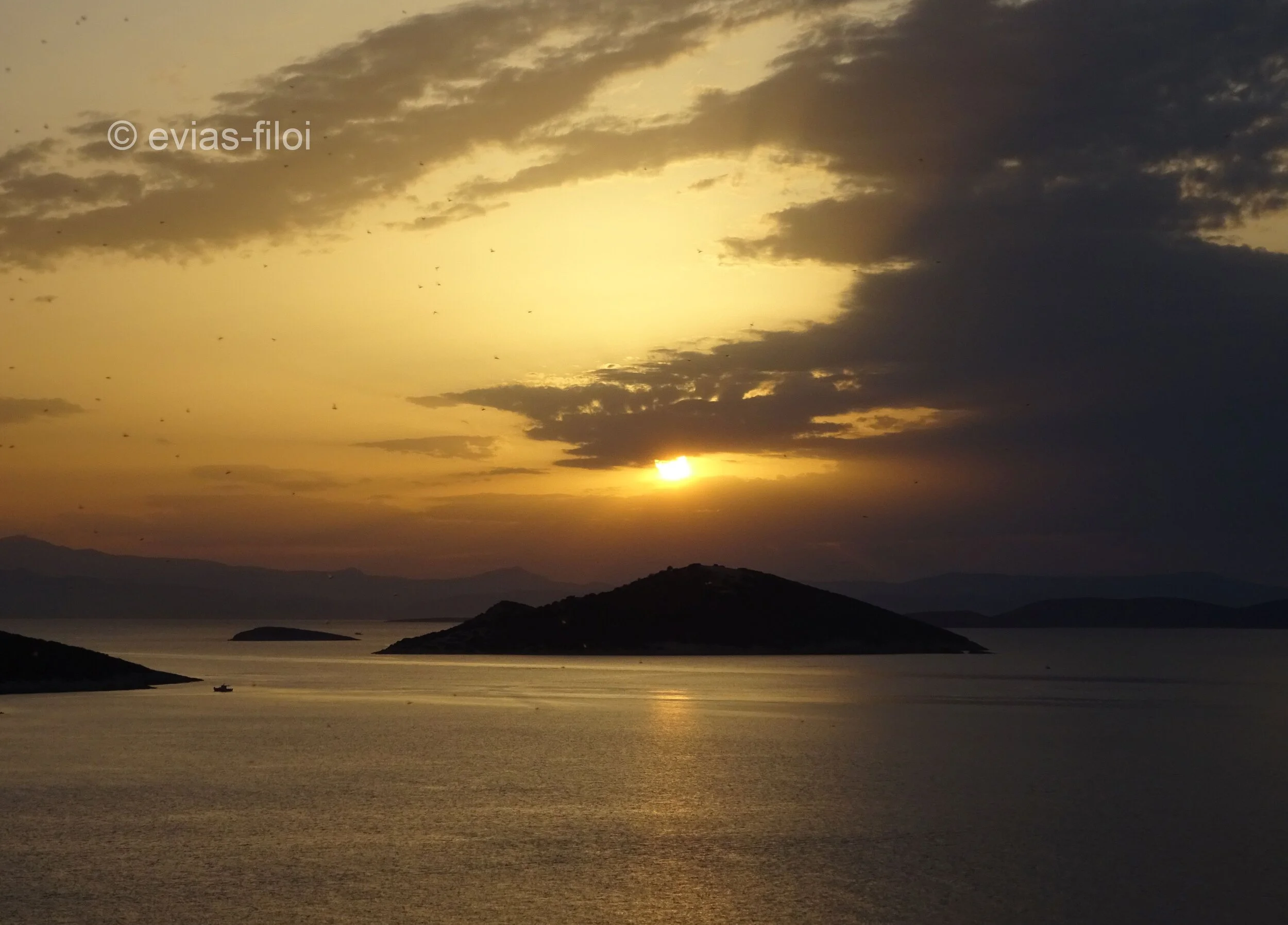 20.6.20 DSC08898.jpg