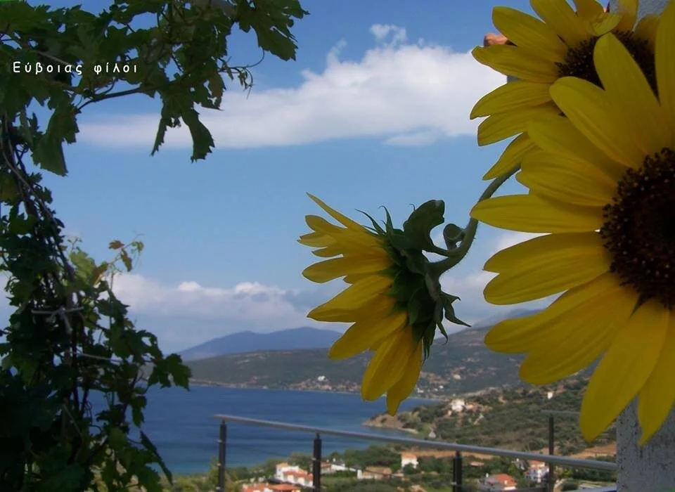 Στο κατώφλι μας ο Ιούλιος! Bίντεο και πολλά άλλα!