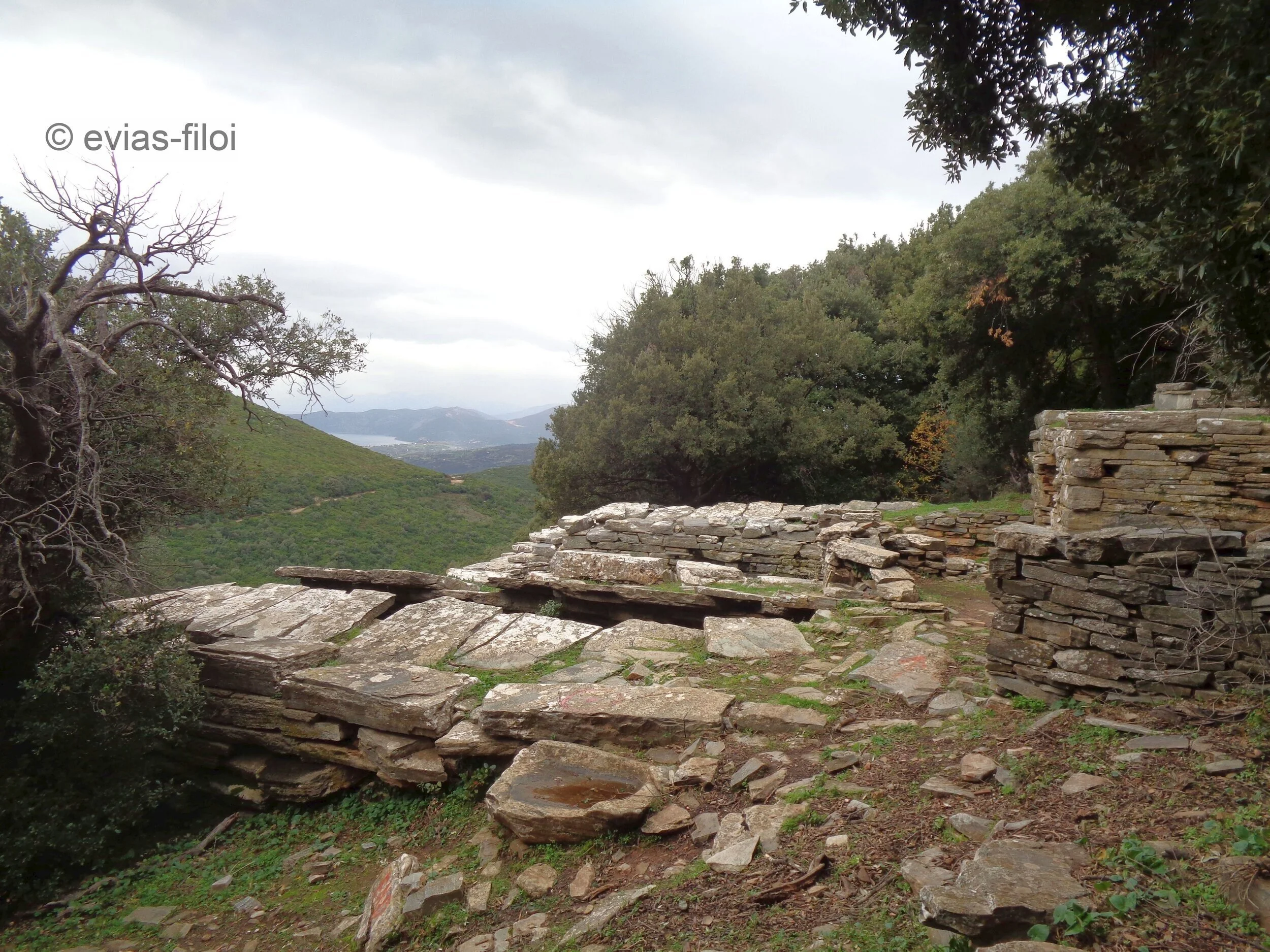 Δρακόσπιτα Στύρων Εύβοιας φίλοι - 16 φωτογραφίες