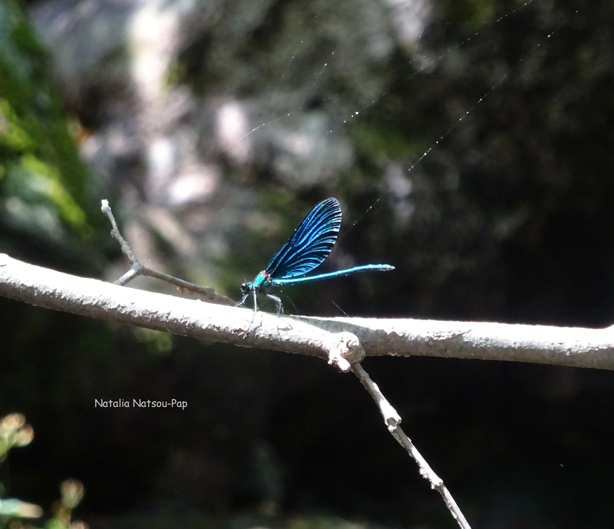 Στιγμές στο χρόνο.. Φωτογραφίες ψήγματα μιας μικρής αθανασίας!
