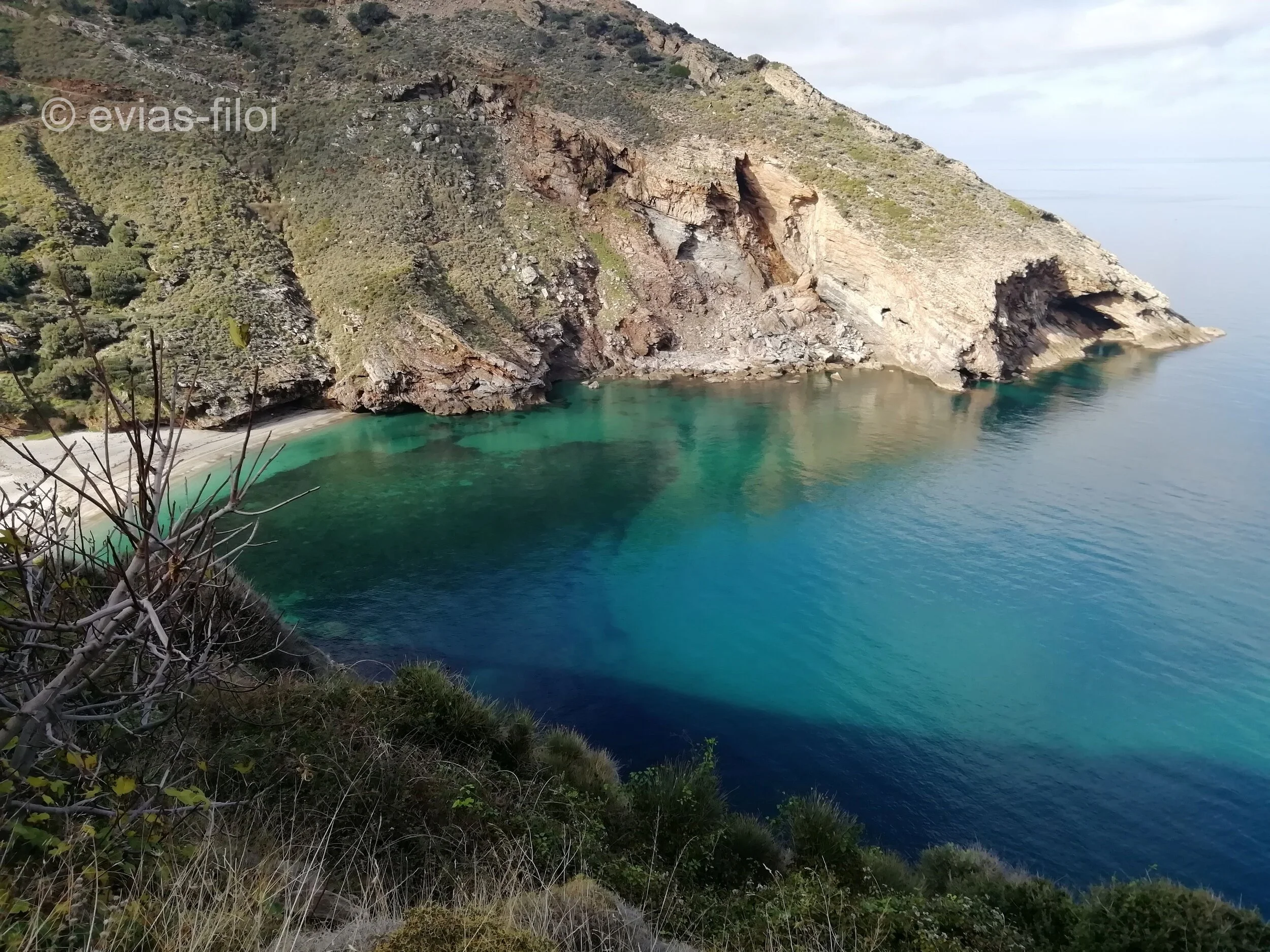 Σχοινοδαύλεια, η εξαιρετική παραλία του Αγ. Δημητρίου Καρυστίας, στο Αιγαίο