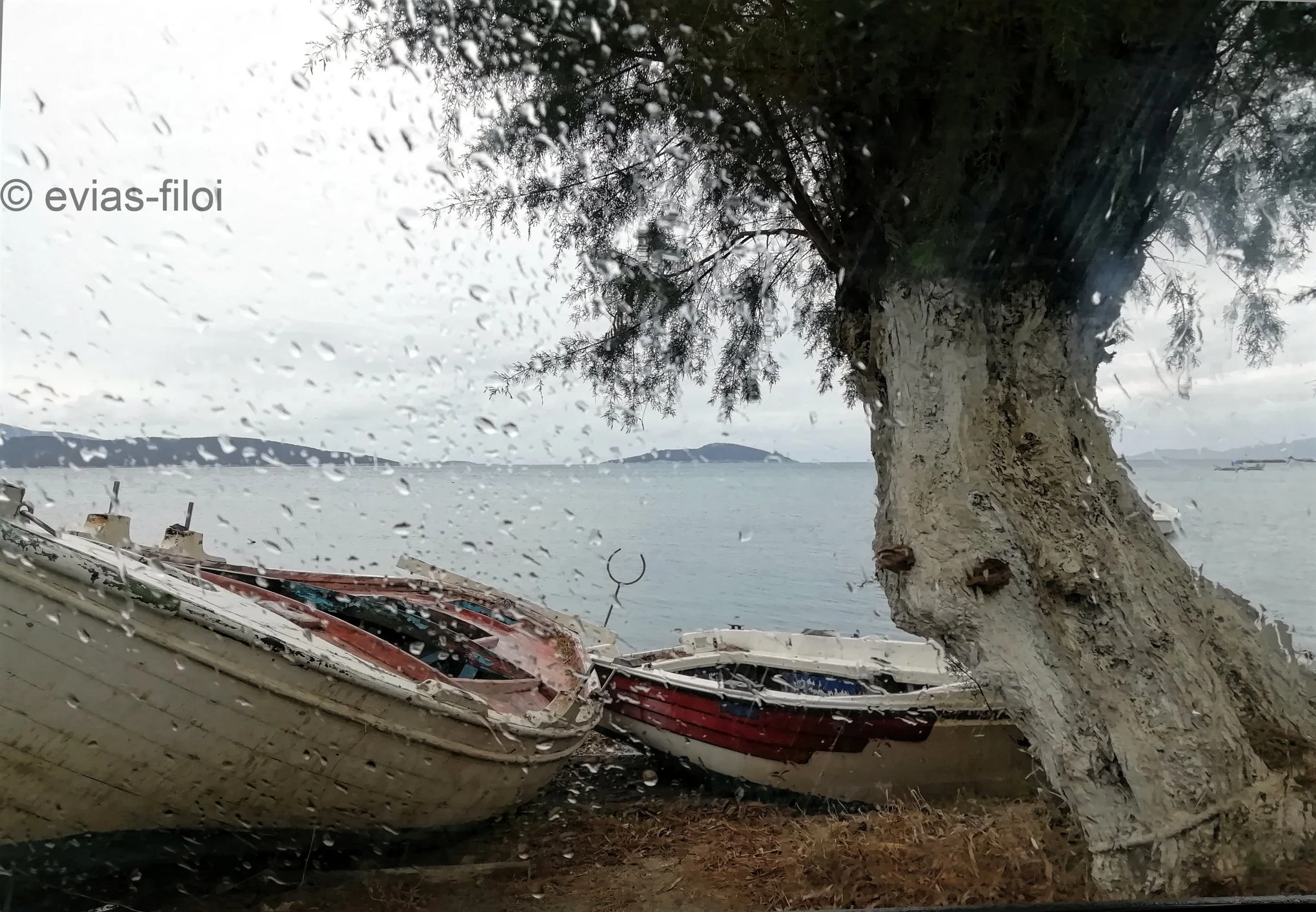 Ισχυρές βροχές και καταιγίδες απόψε και αύριο (14/12/2020) στην Εύβοια