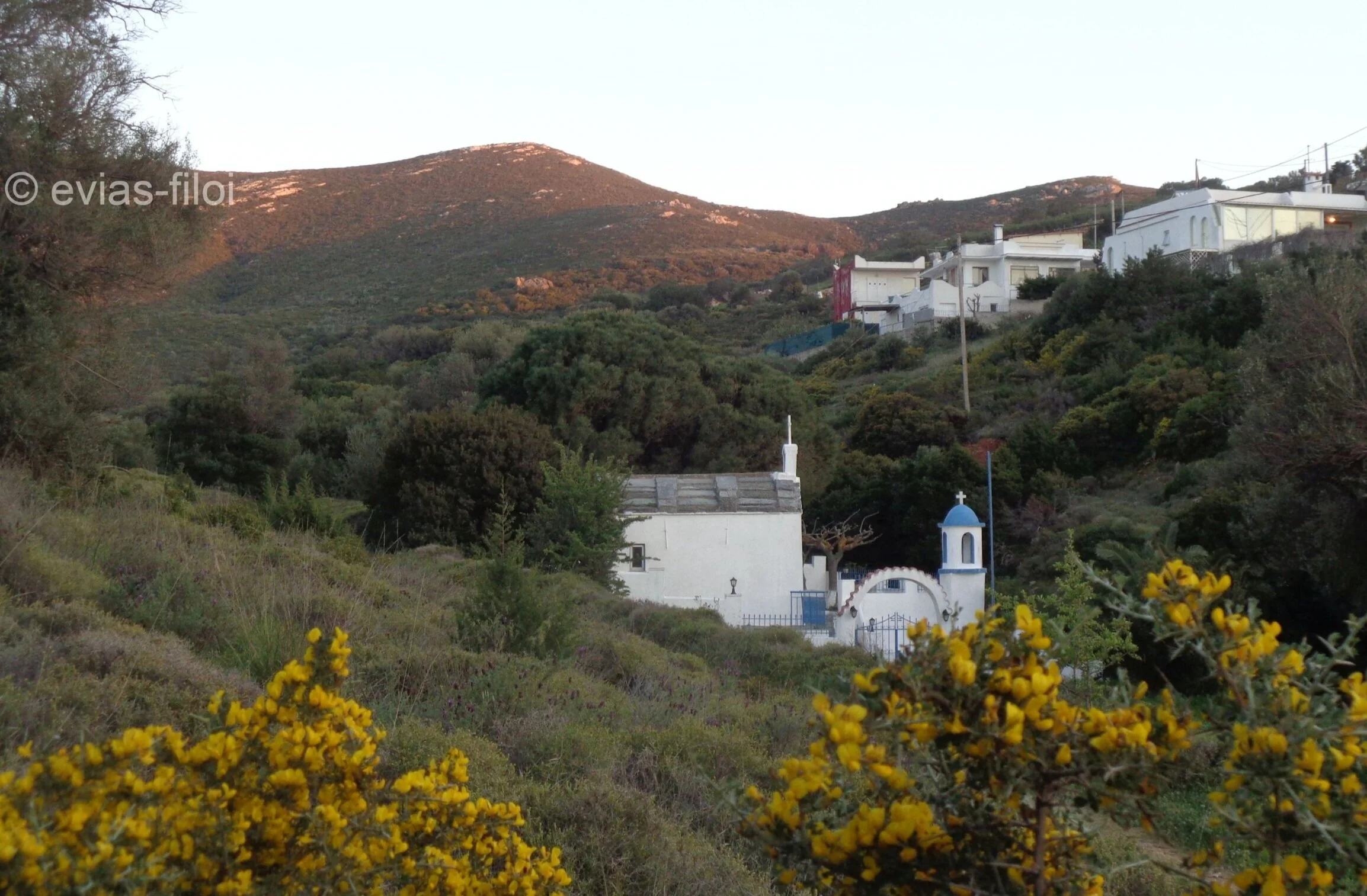 «Ο άη- Λιάς κόβει σταφύλια και η&nbsp;αγία Μαρίνα&nbsp;σύκα»..